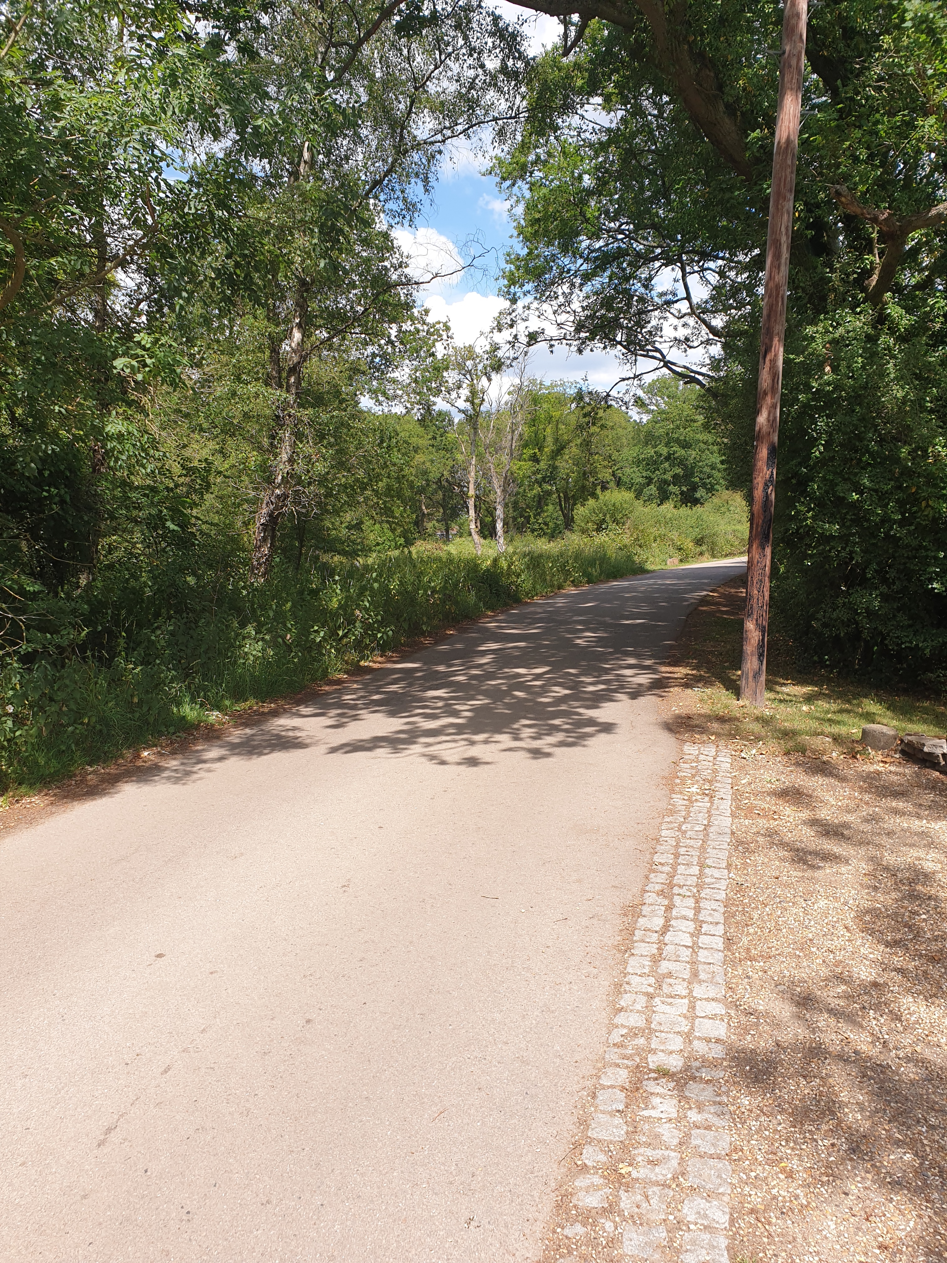 Walk & Talk - Tonwell