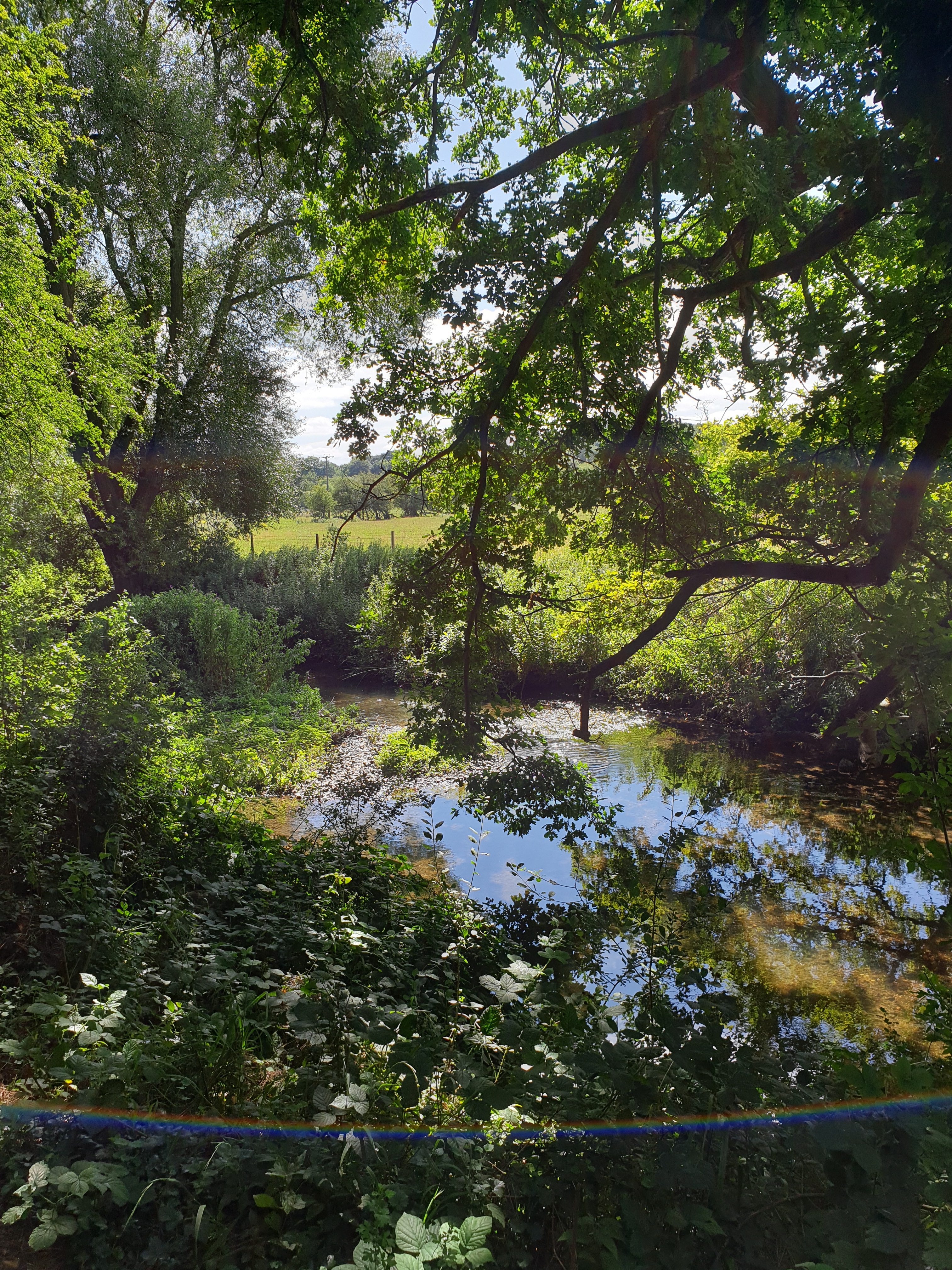 Walk & Talk - Watton to Woodhall