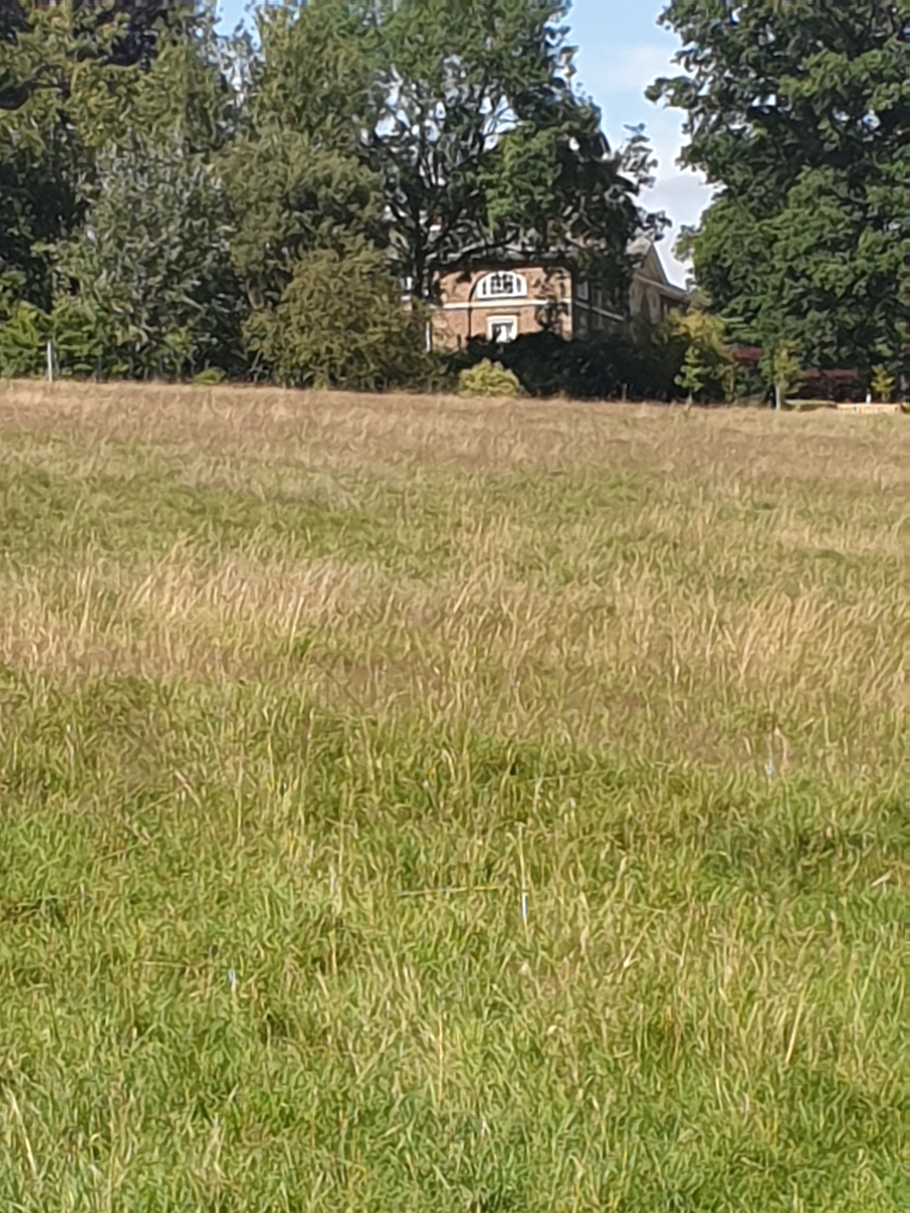 Walk & Talk - Watton to Woodhall