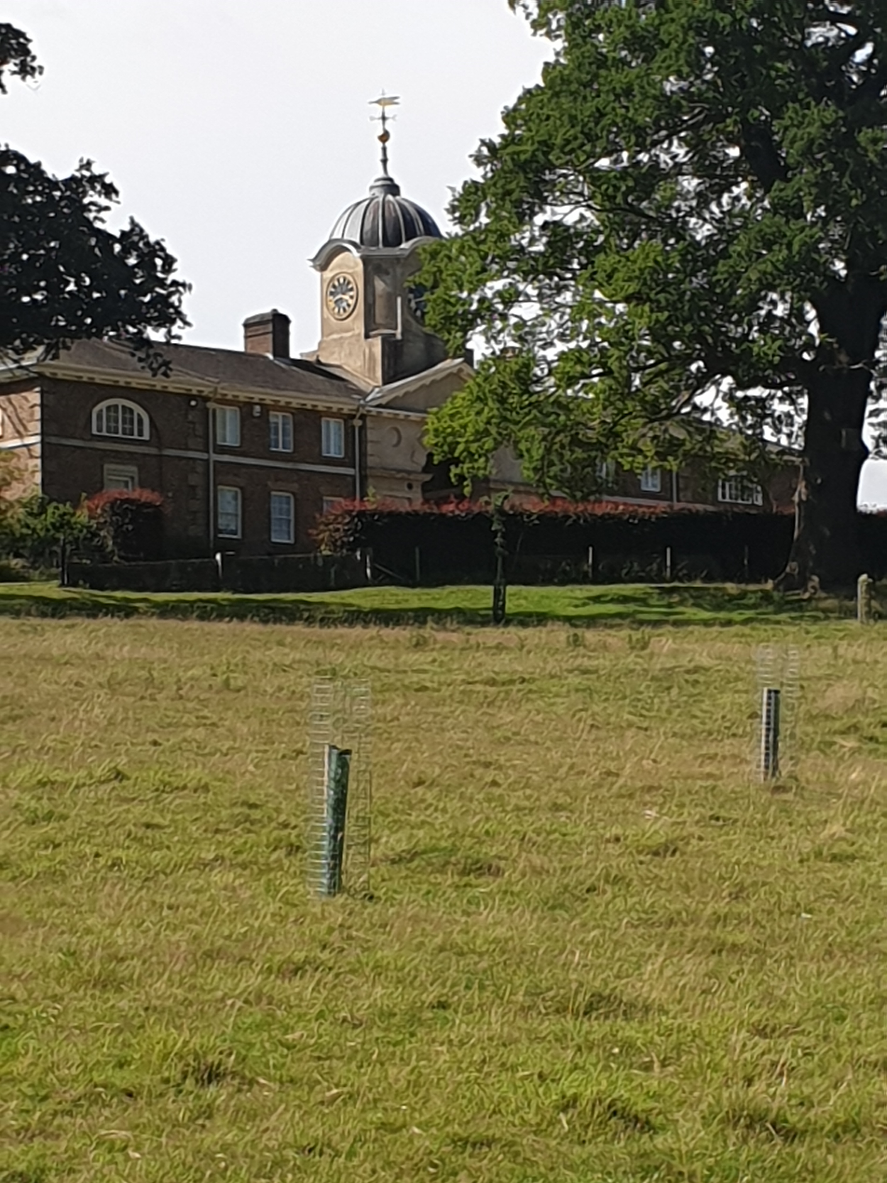 Walk & Talk - Watton to Woodhall