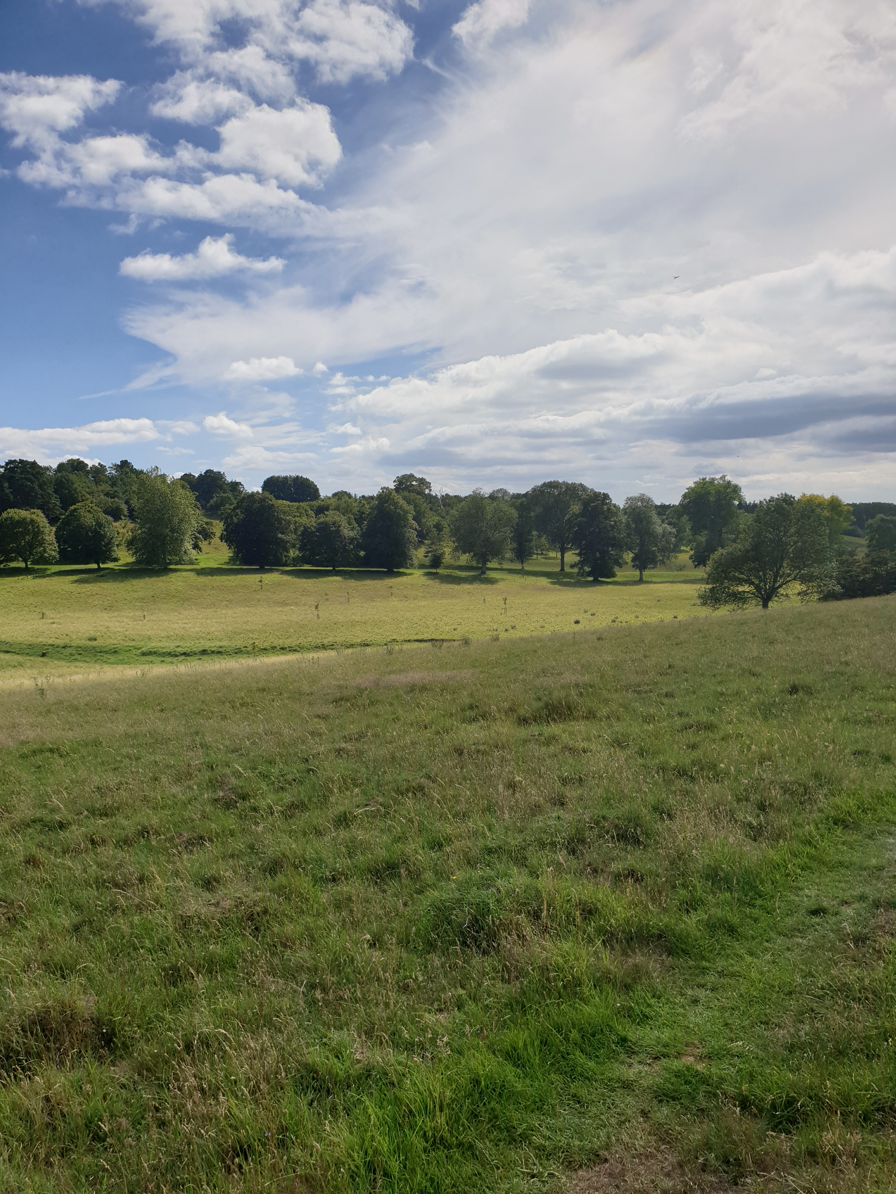Walk & Talk - Watton to Woodhall