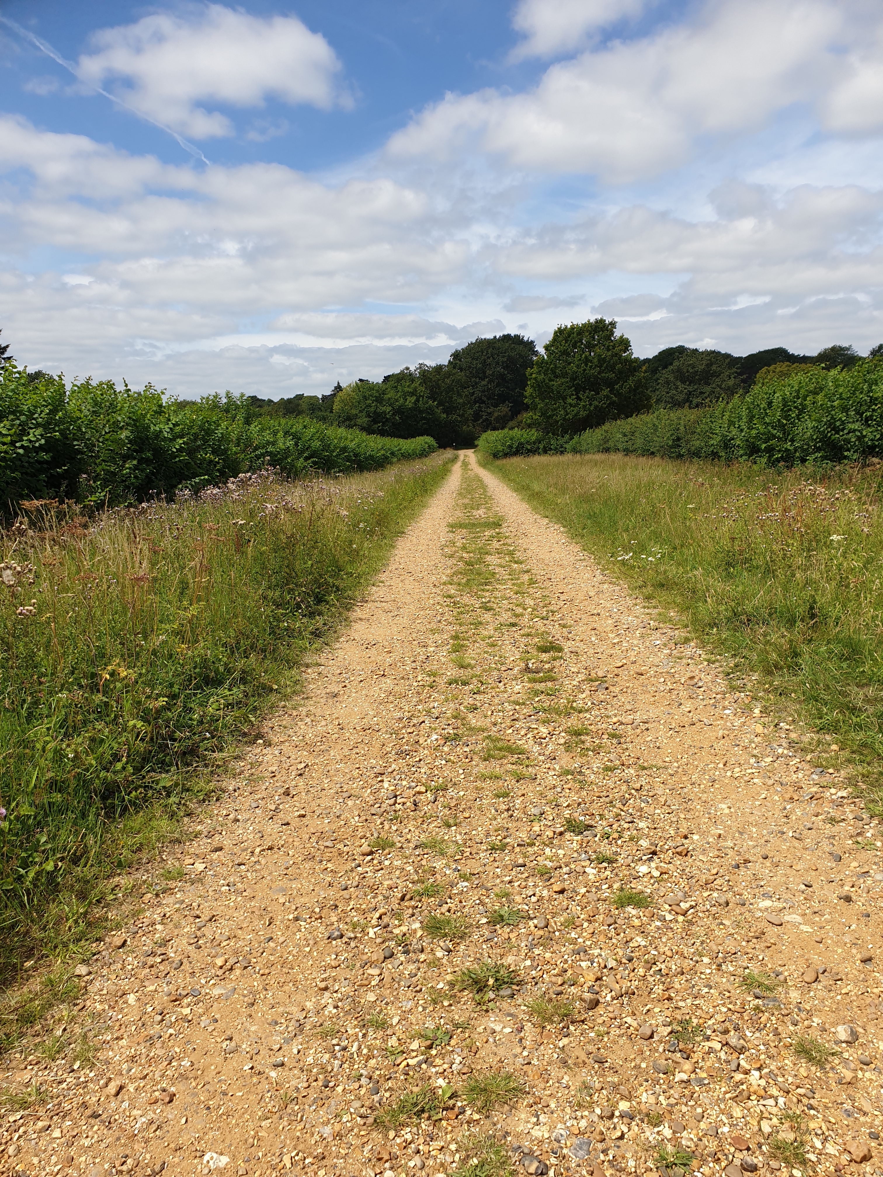 Walk & Talk - Chapmore End