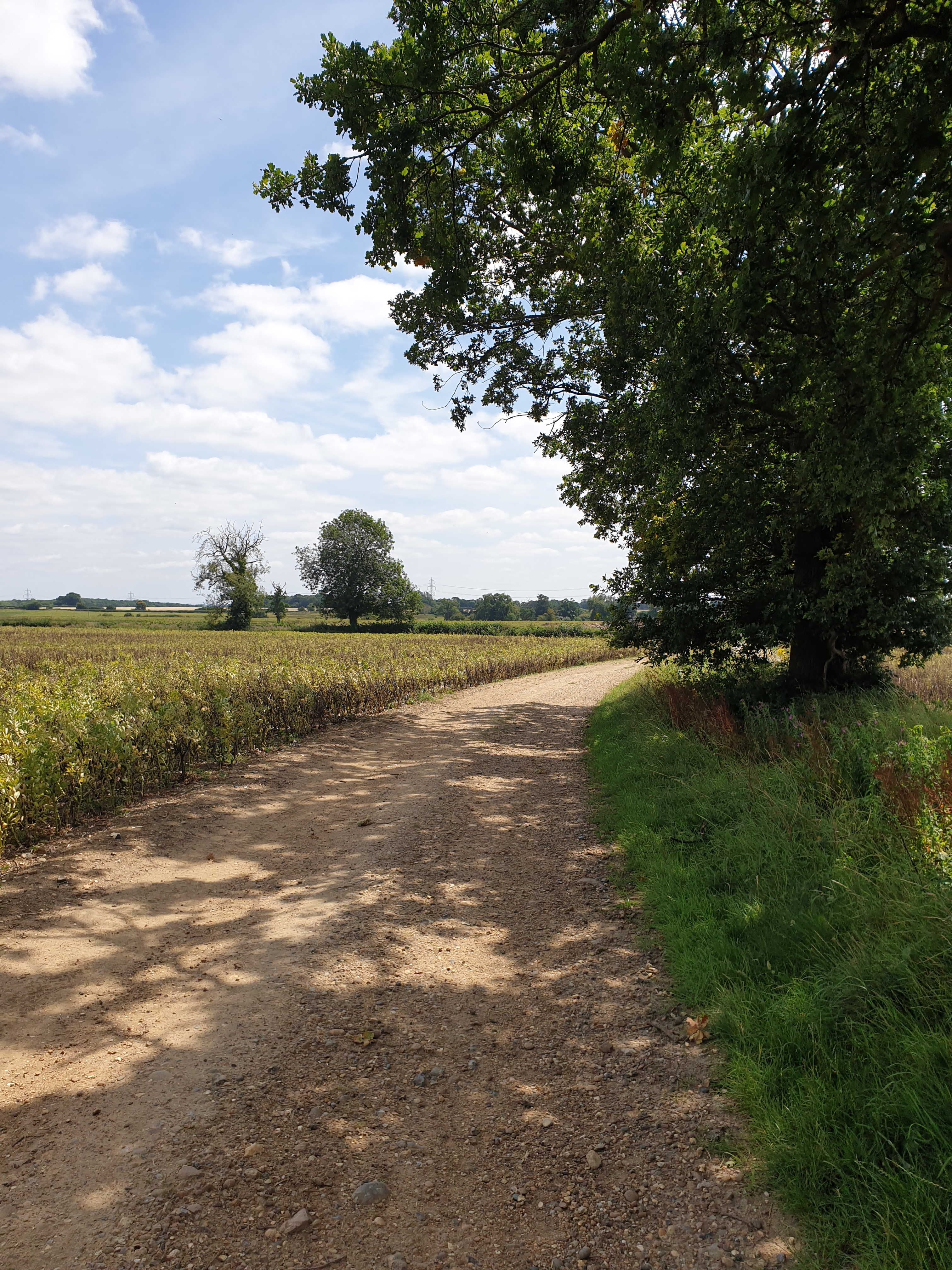 Walk & Talk - Chapmore End