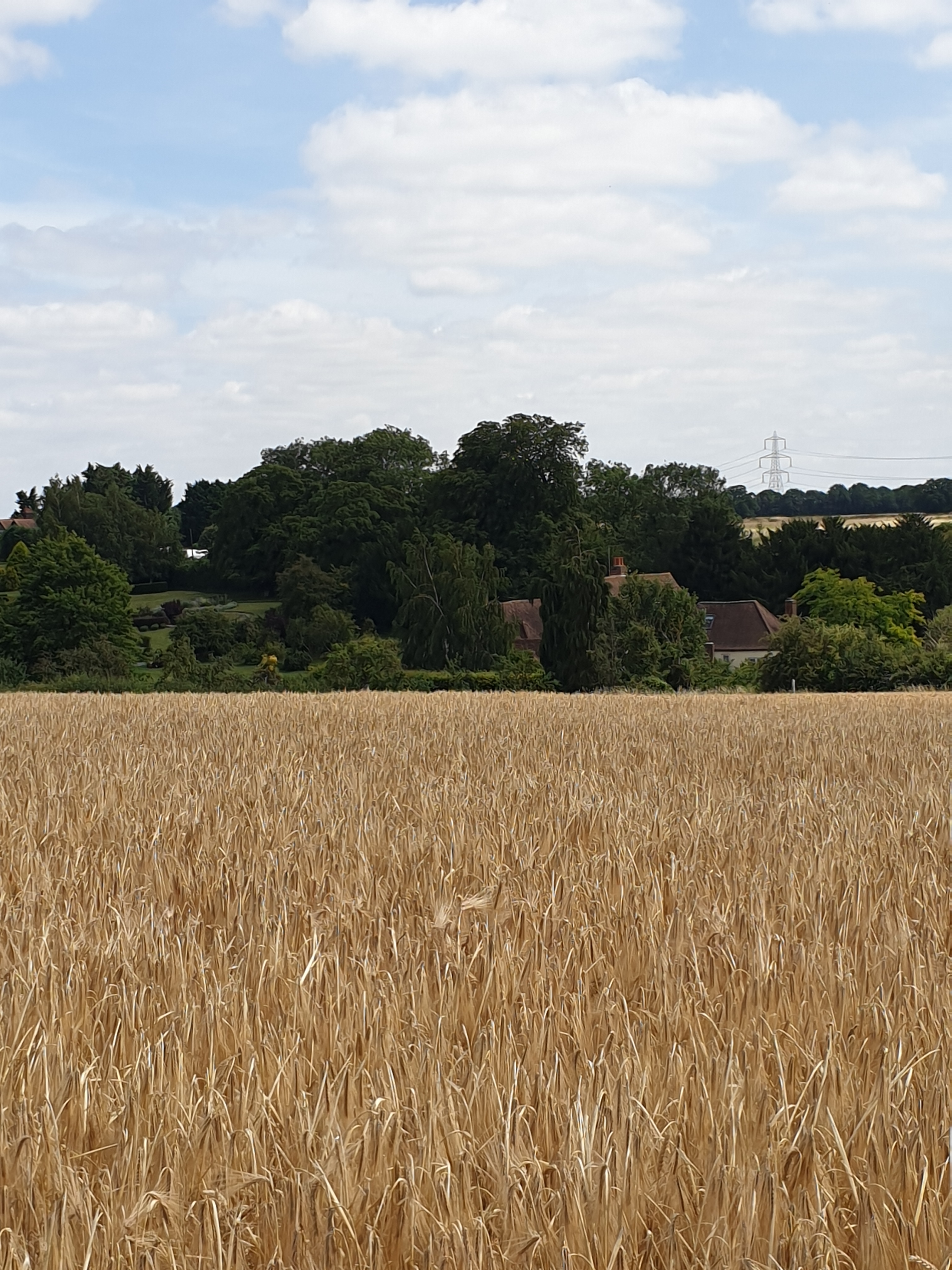 Walk & Talk - Chapmore End