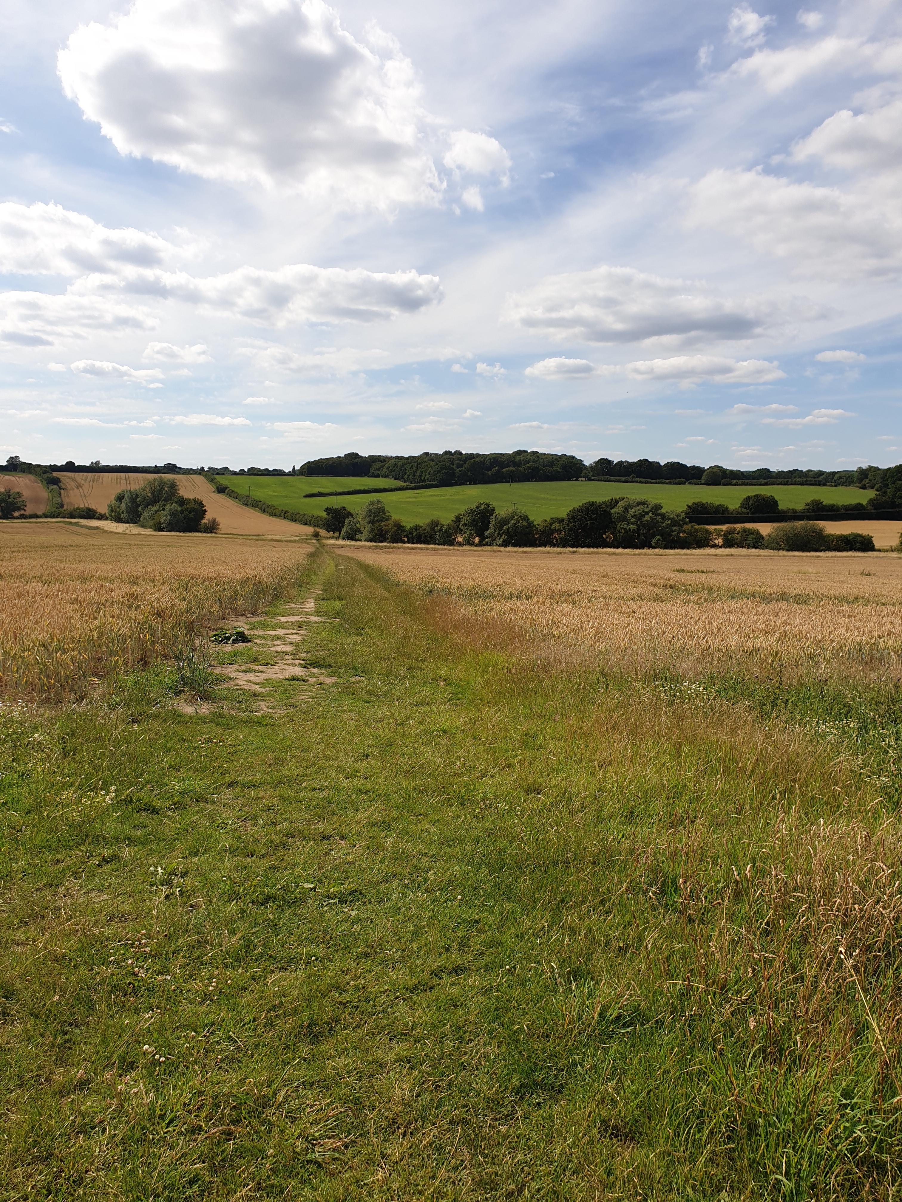 Walk & Talk - Wadesmill