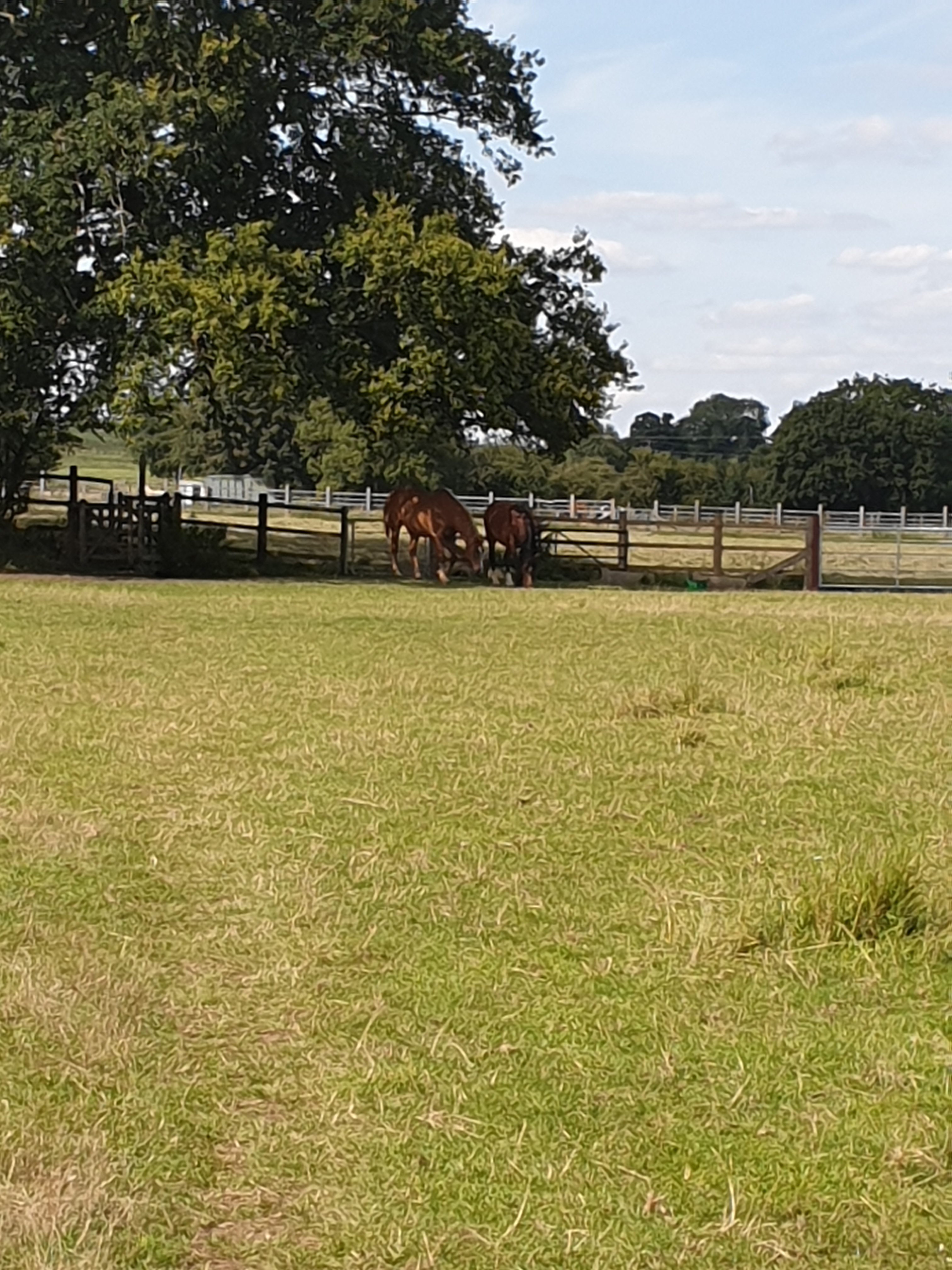 Walk & Talk - Wadesmill