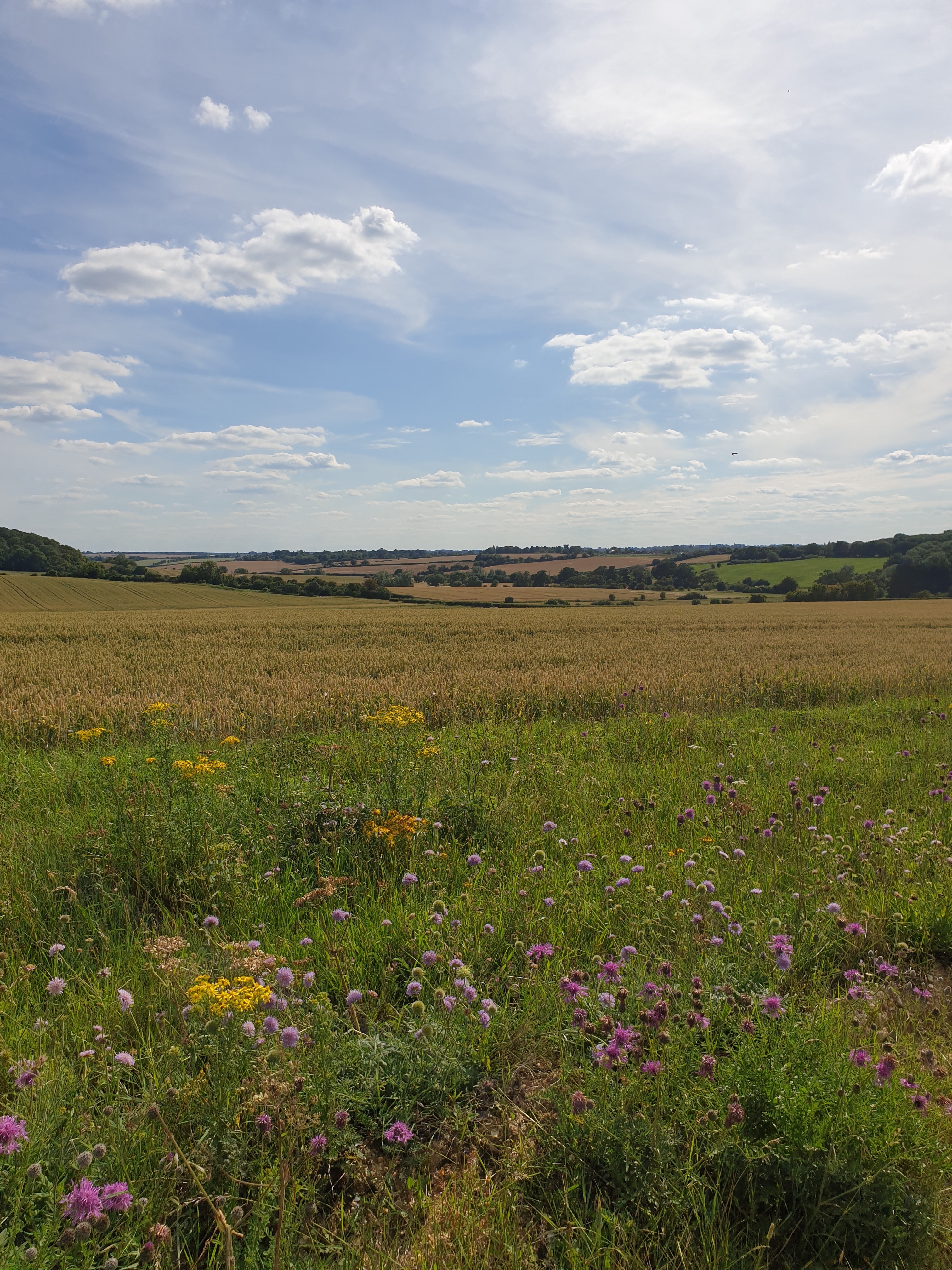 Walk & Talk - Wadesmill