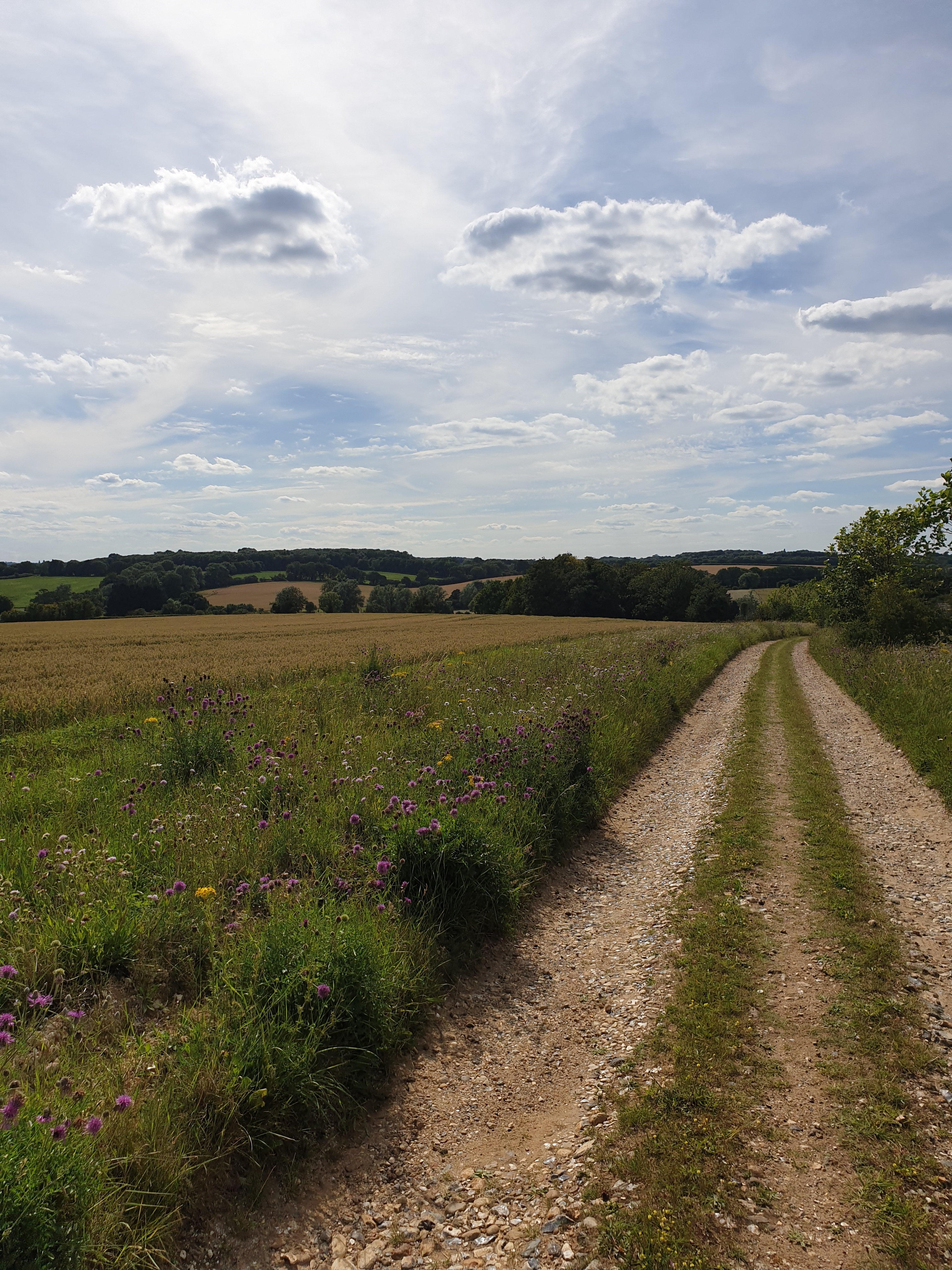 Walk & Talk - Wadesmill