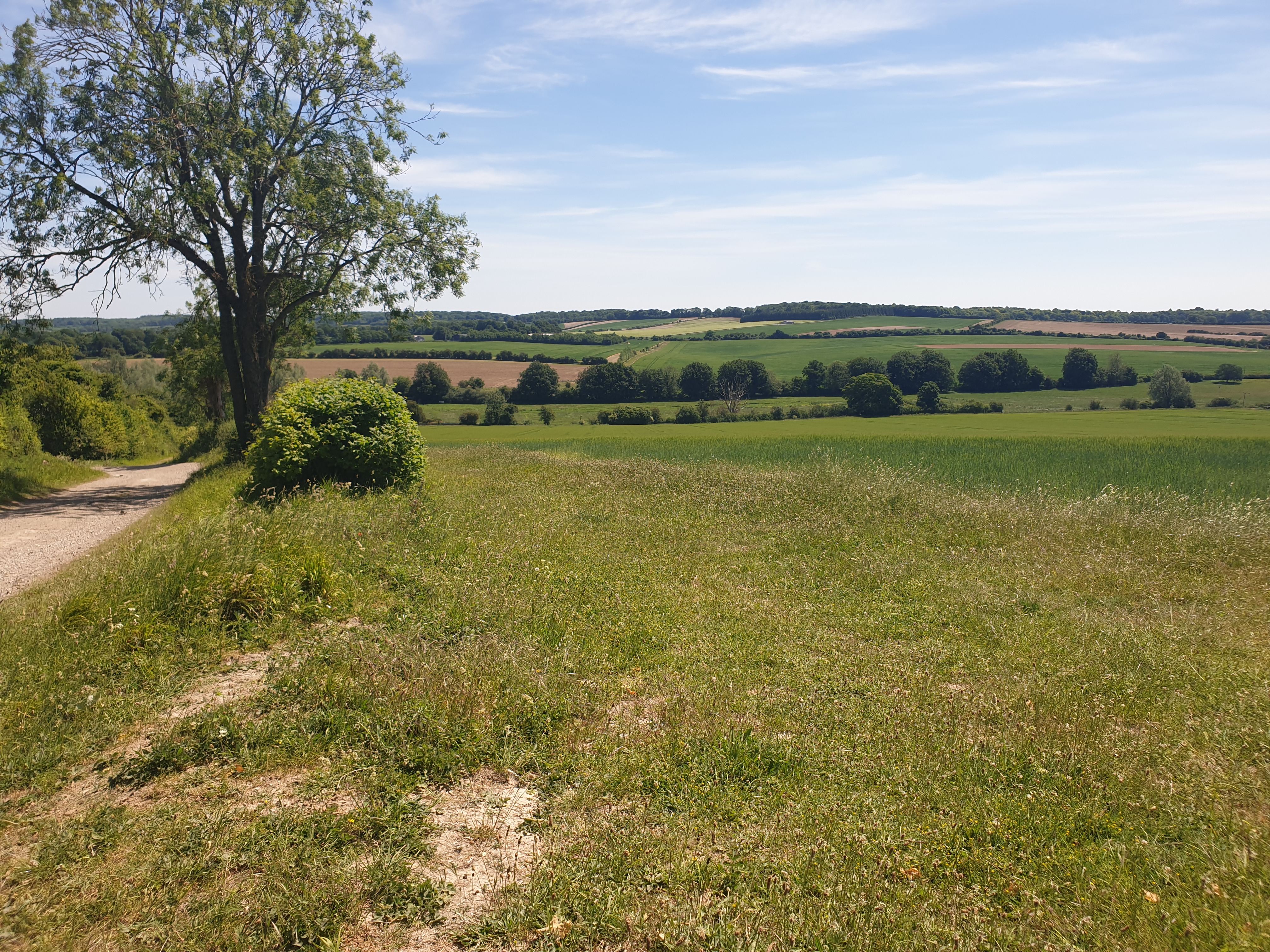 East Stratton walk with optional refreshments at the Northbrook Arms (Gear 1 to 2) - 6.5 miles