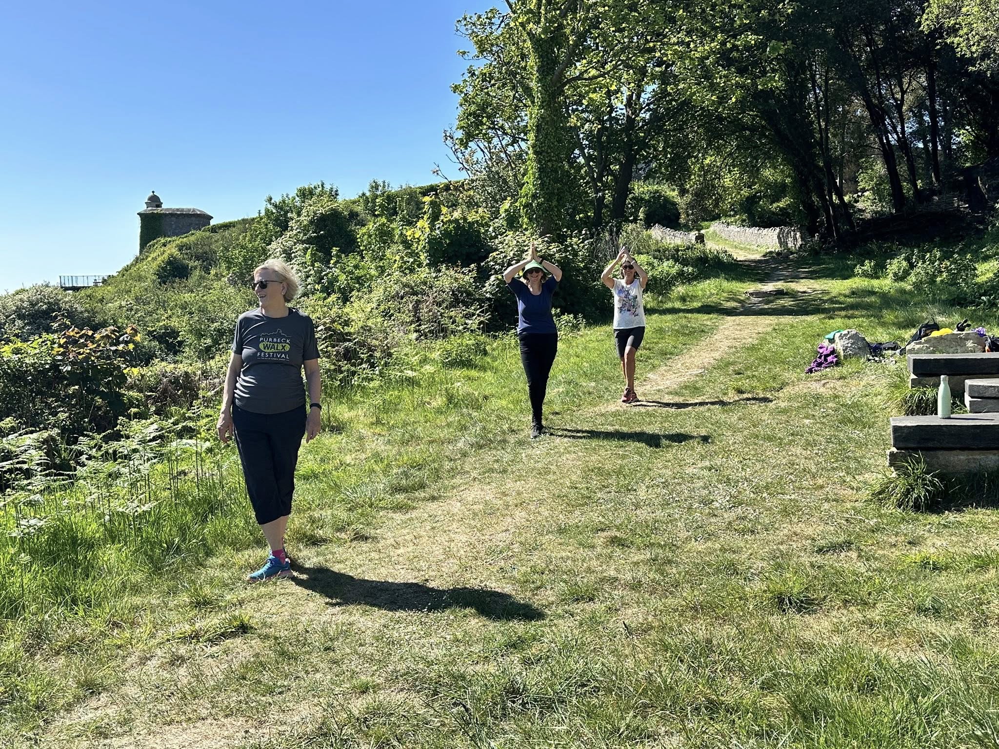 Wareham Forest Sika Social Walk