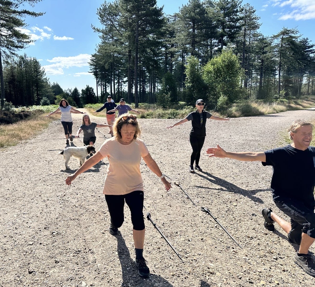 Wareham Forest Sika Social Walk