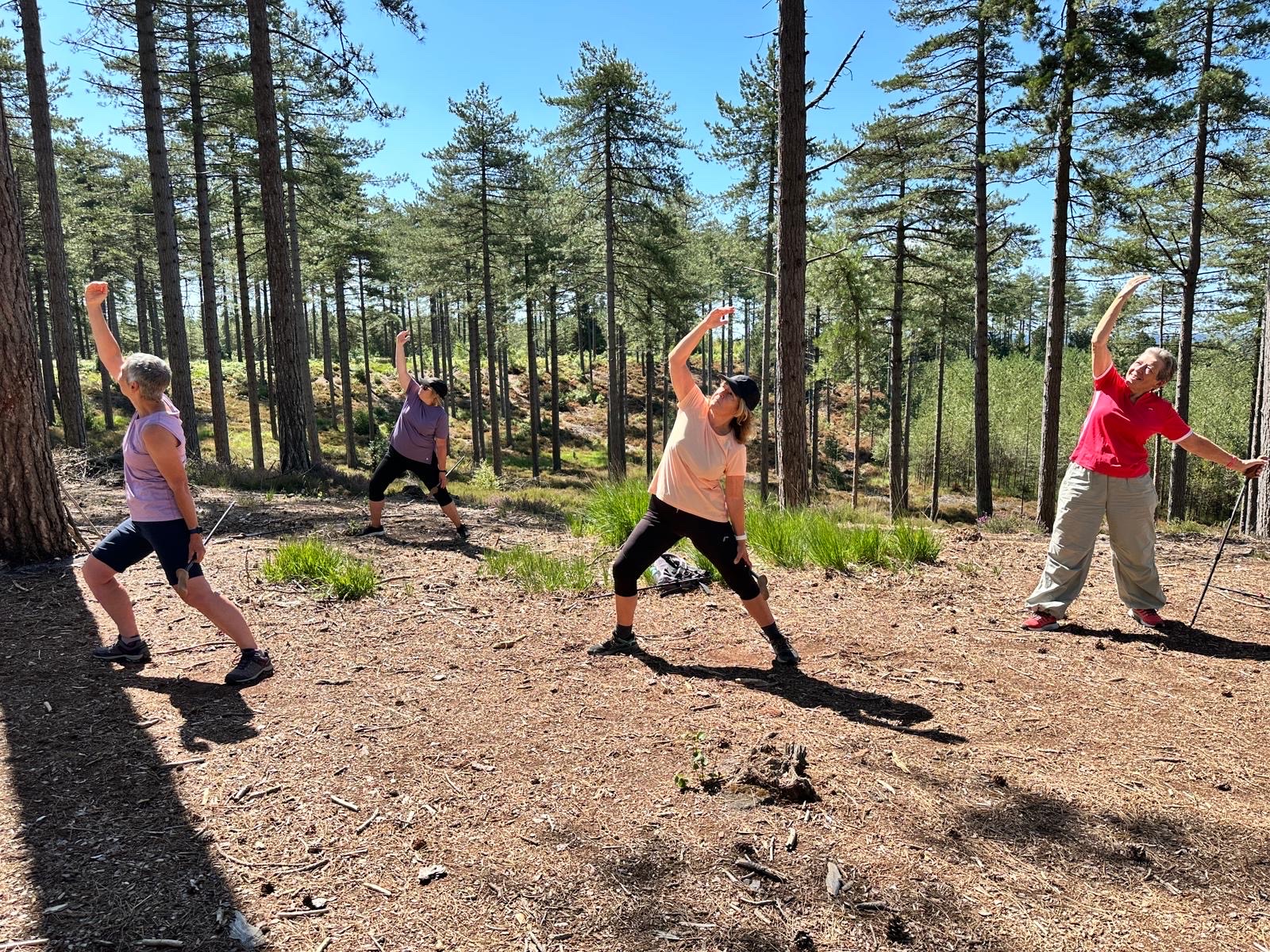 Wareham Forest Sika Social Walk