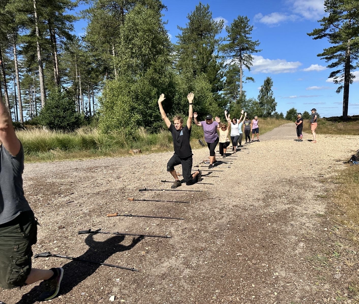 Wareham Forest Sika Social Walk