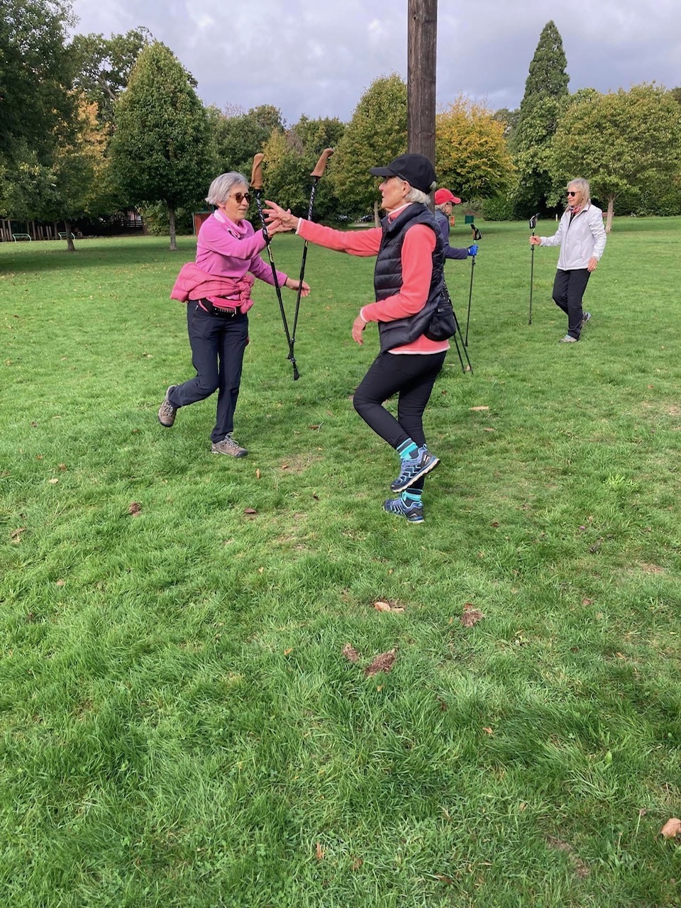 Wareham Forest Sika Social Walk