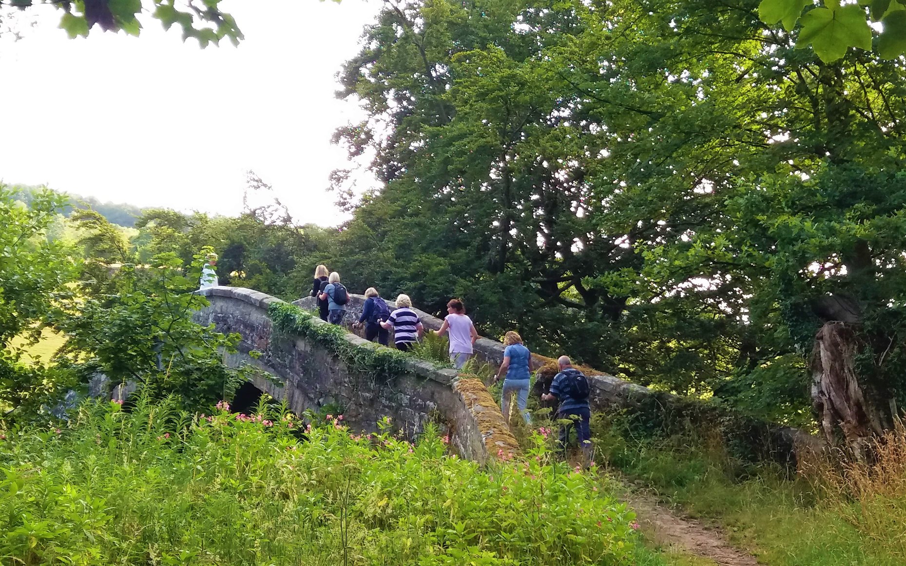 Flexi walk, Ripley (main car park)