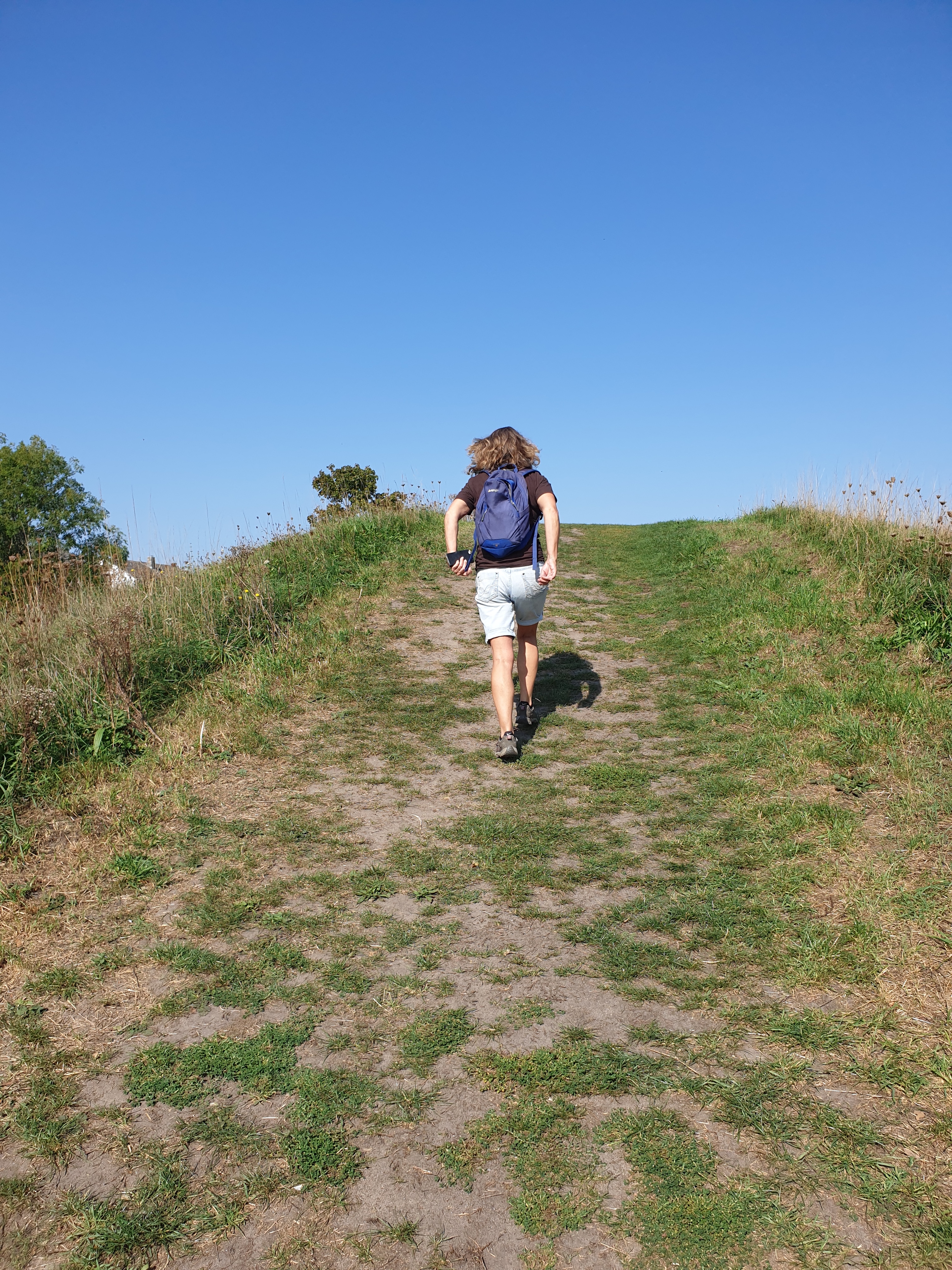Wareham Walls and Mill walk