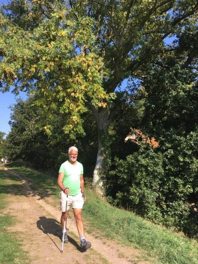 Wareham Walls and Mill walk