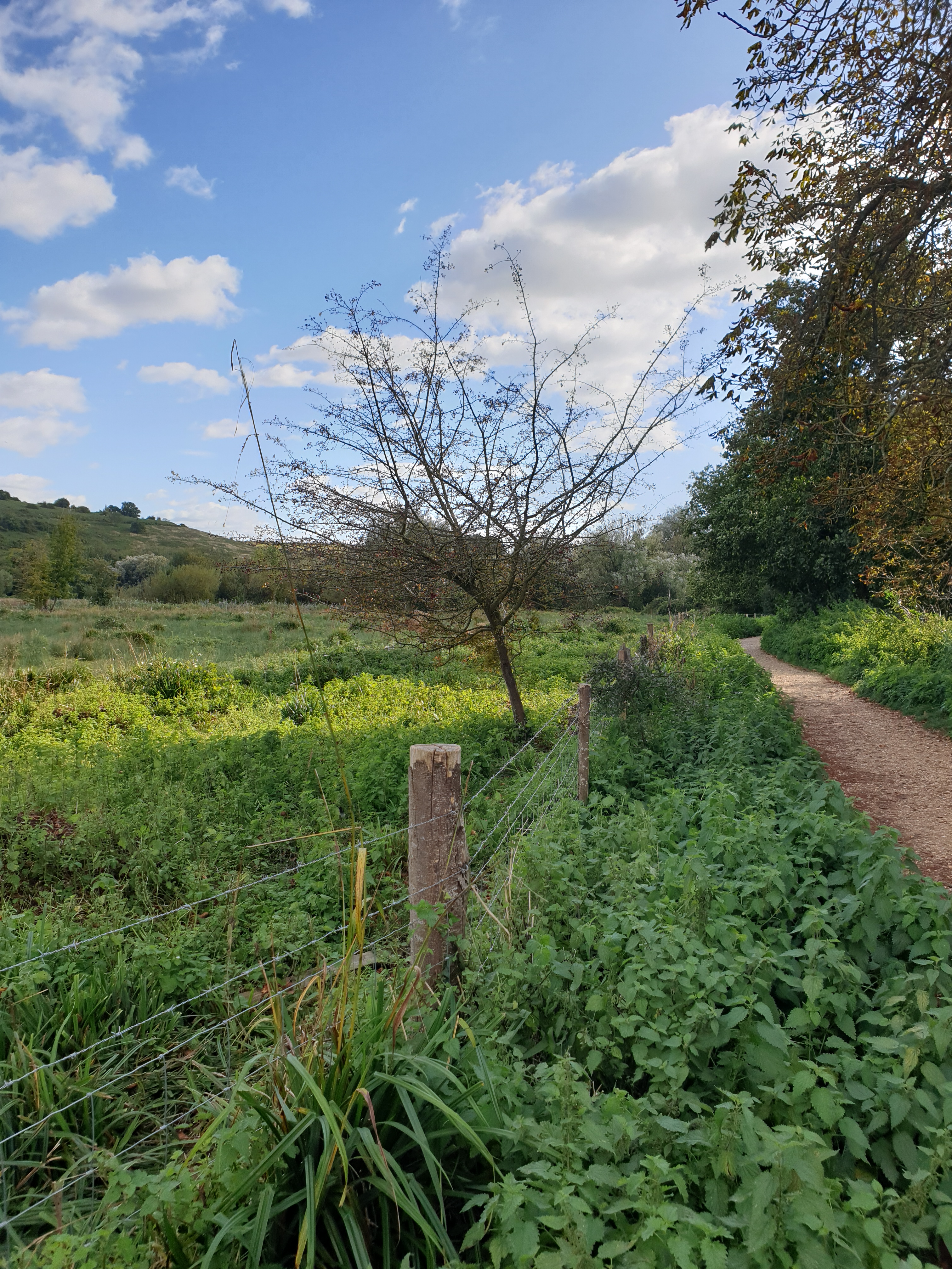 A FASTER PACED WALK: Winchester to Compton via Compton Lock & the River Itchen