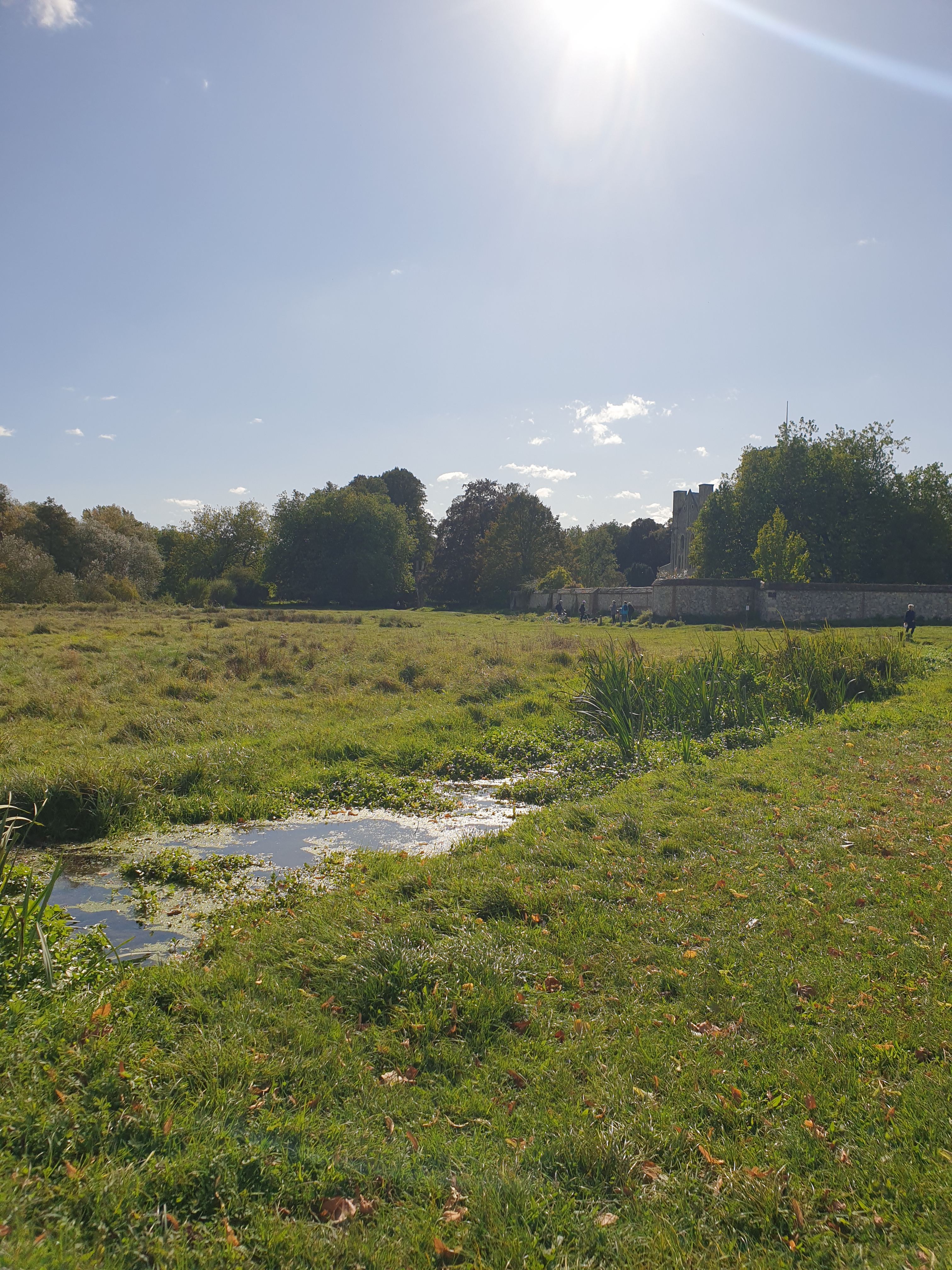 A FASTER PACED WALK: Winchester to Compton via Compton Lock & the River Itchen