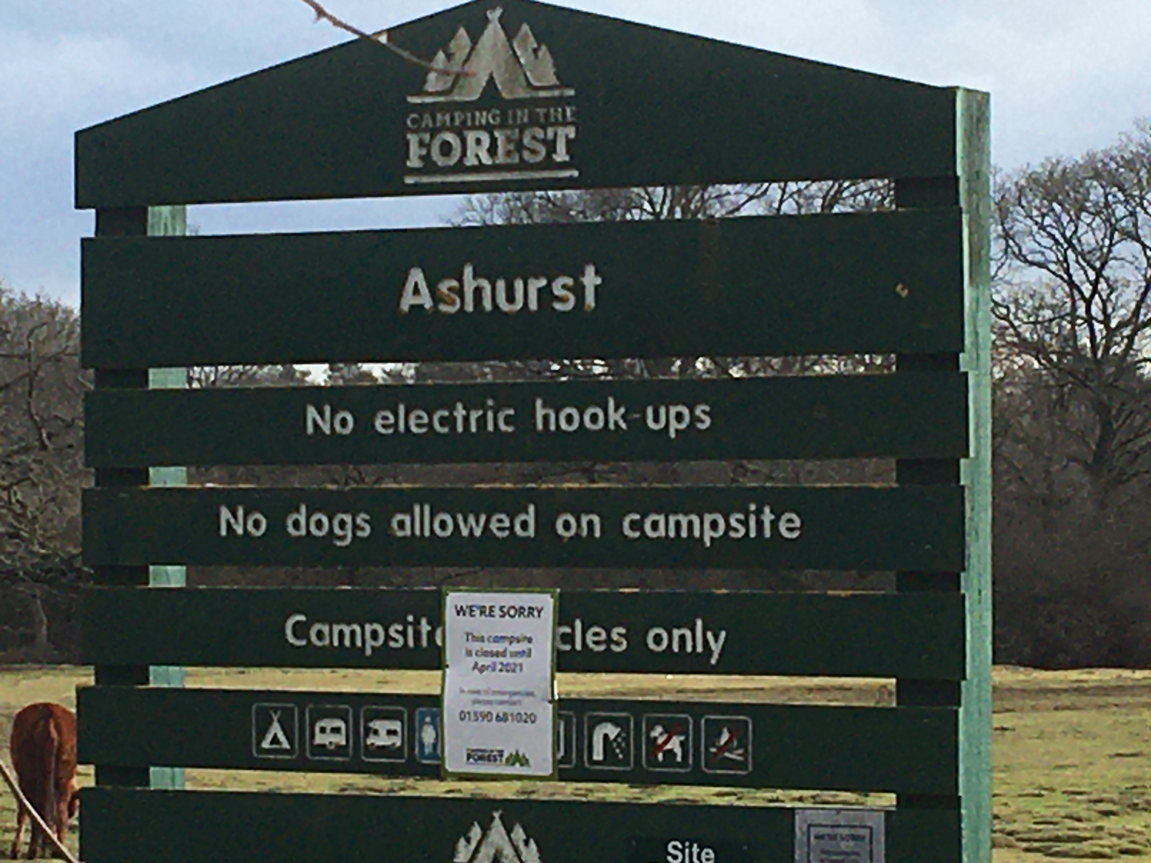 Ashurst Loop All Levels Walk