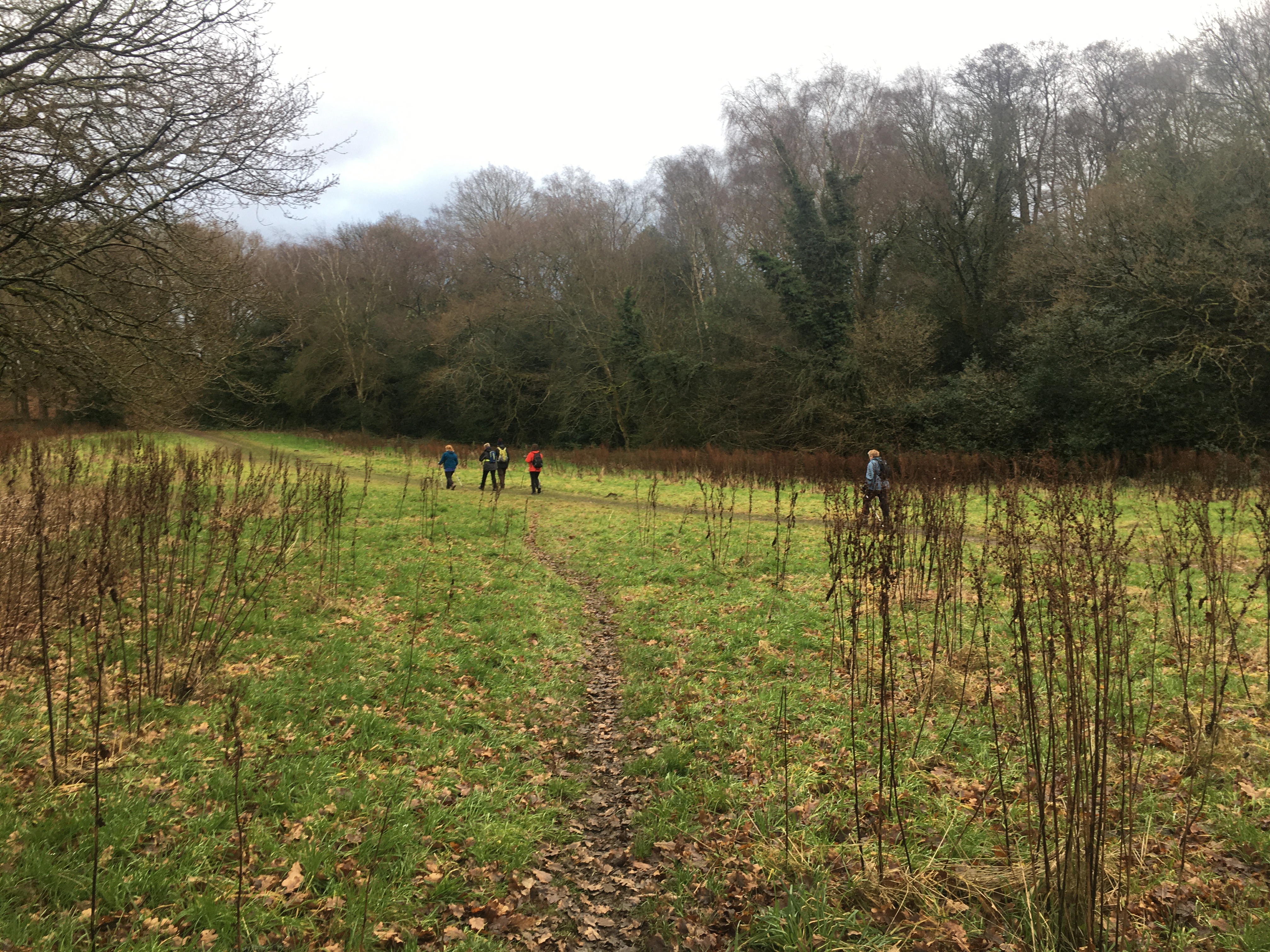 Rose Hill Marple Nordic Walks