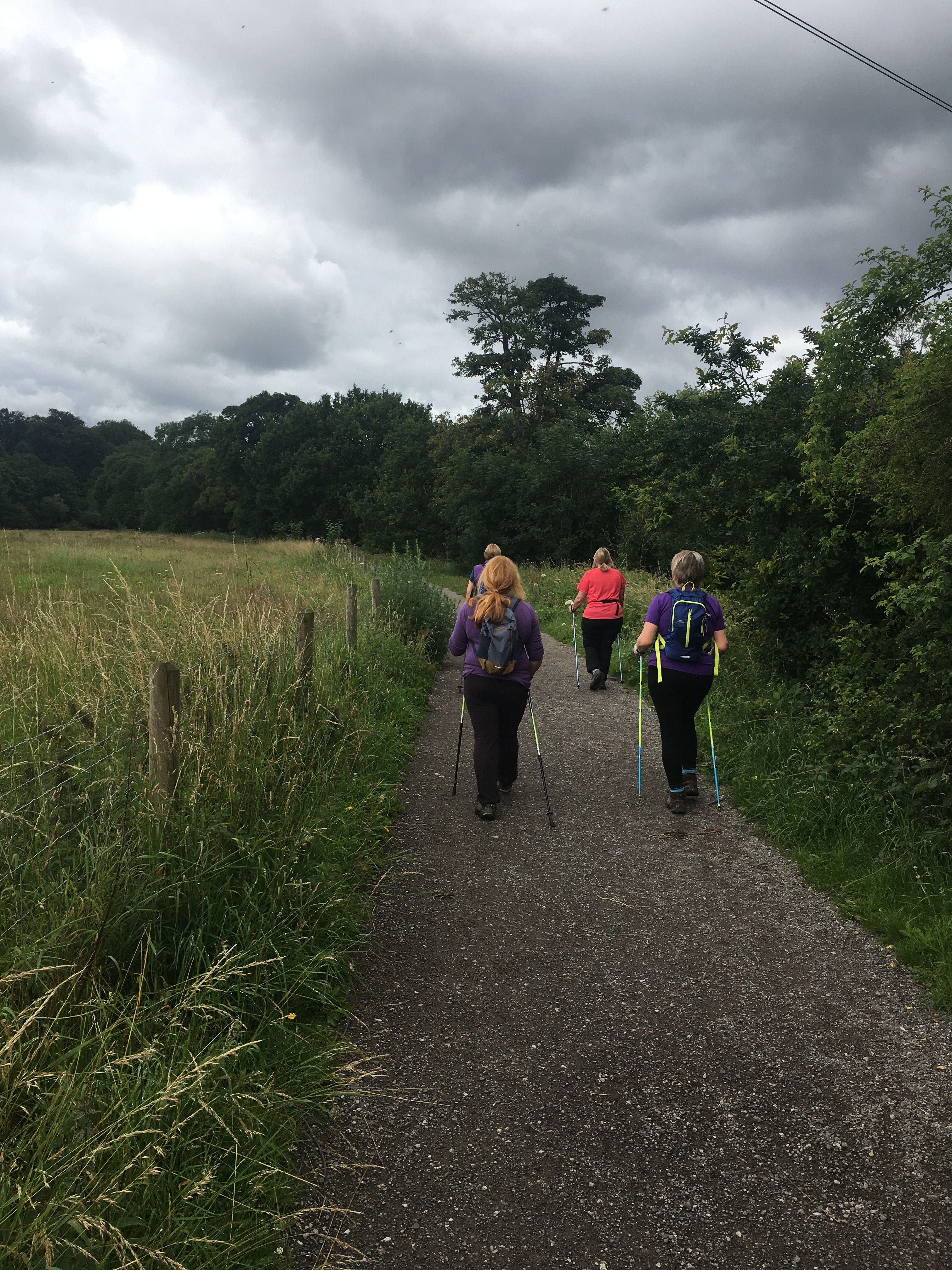 Rose Hill Marple Nordic Walks