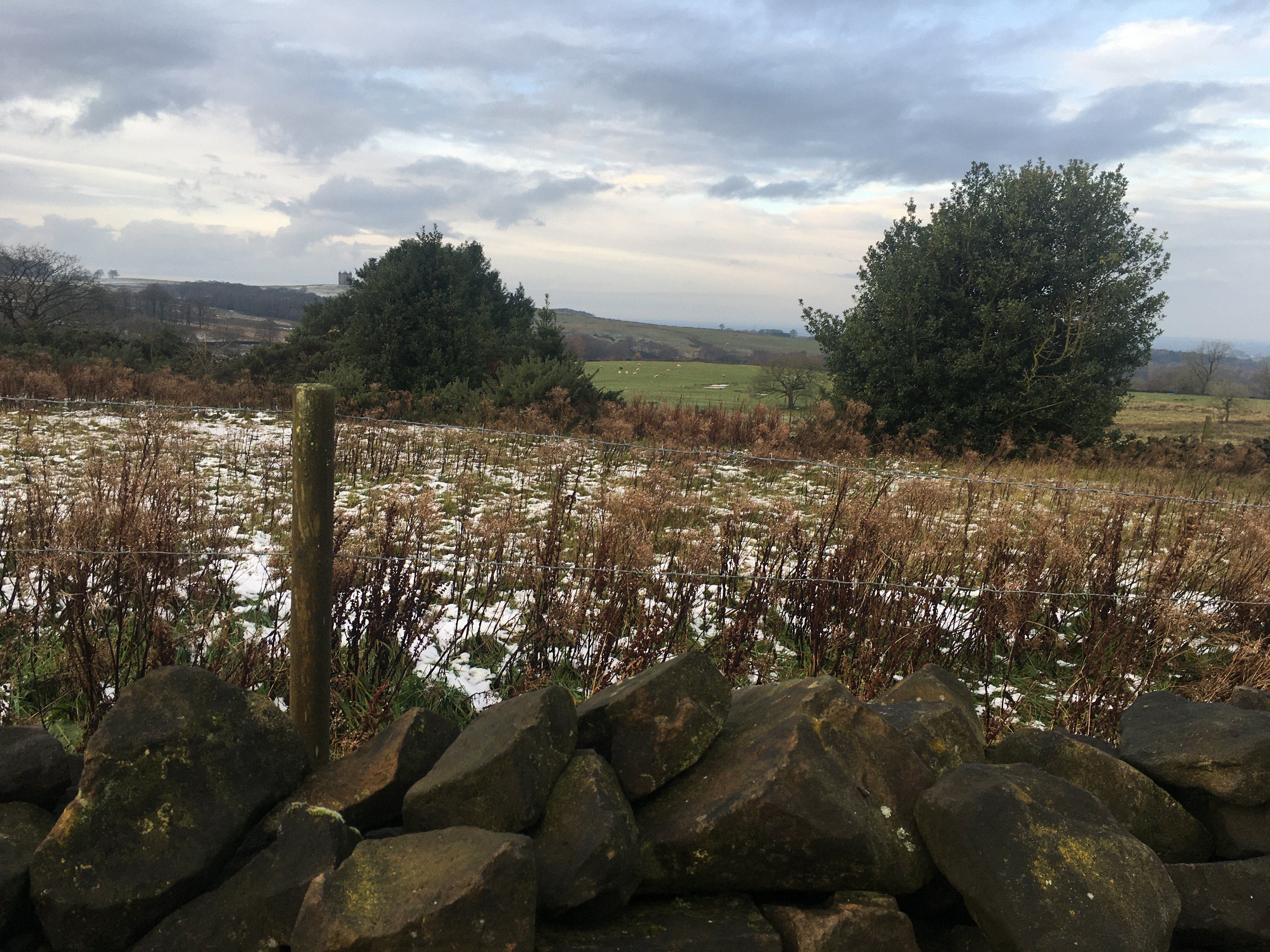 Disley Nordic Walks