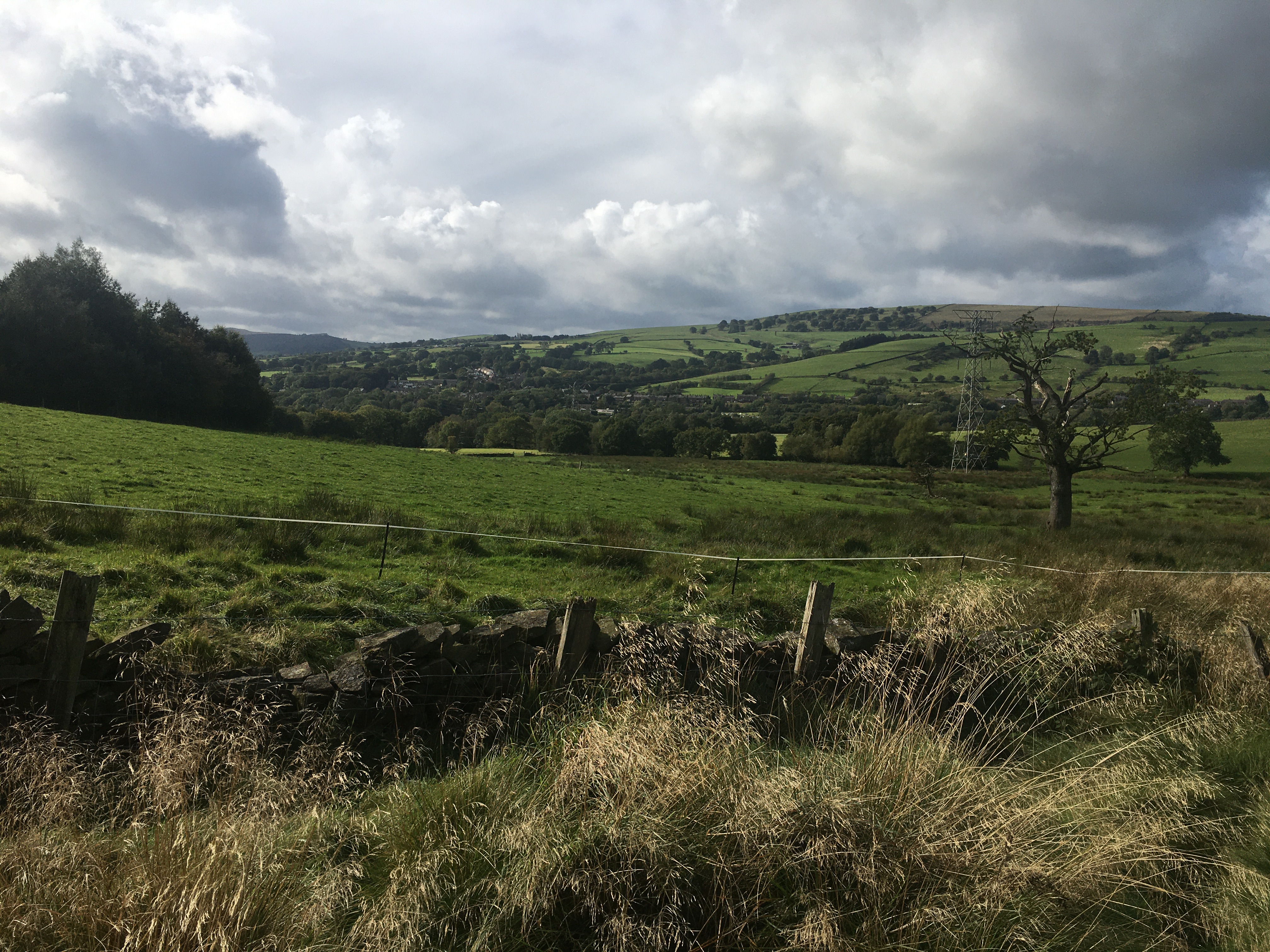 New Mills Boundary Walk 4 (Birch Vale)