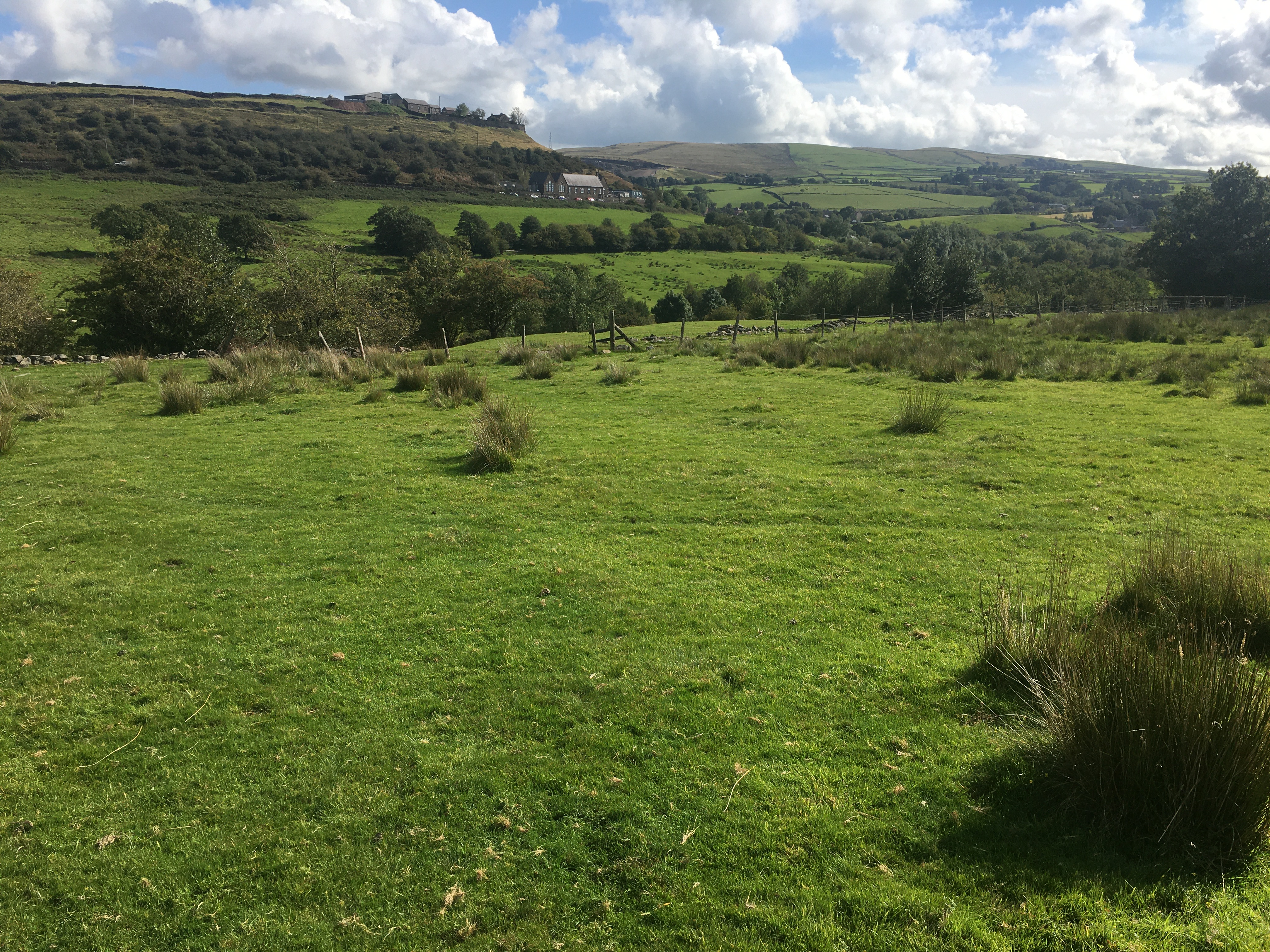 New Mills Boundary Walk 4 (Birch Vale)