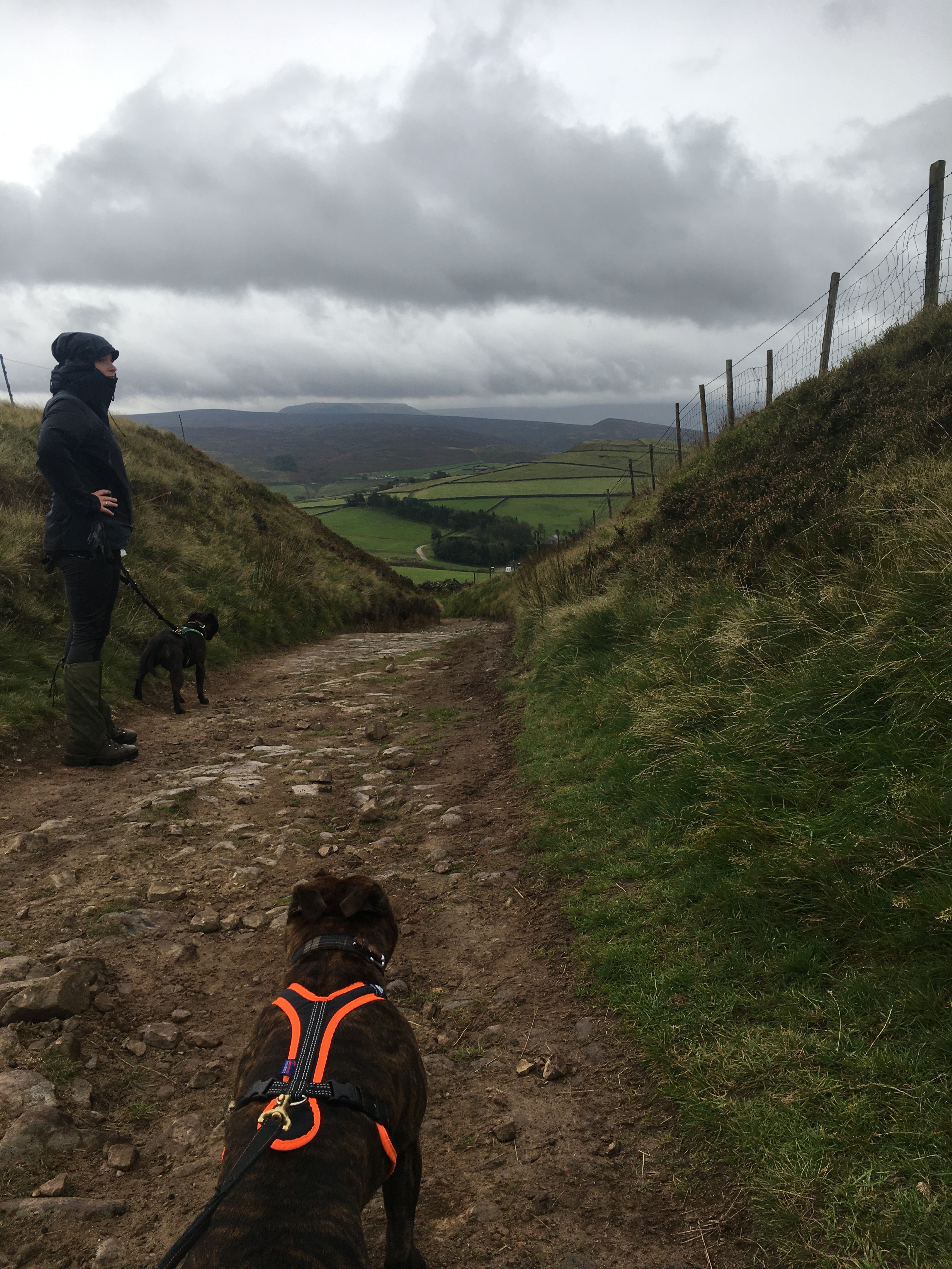 New Mills Boundary Walk 4 (Birch Vale)