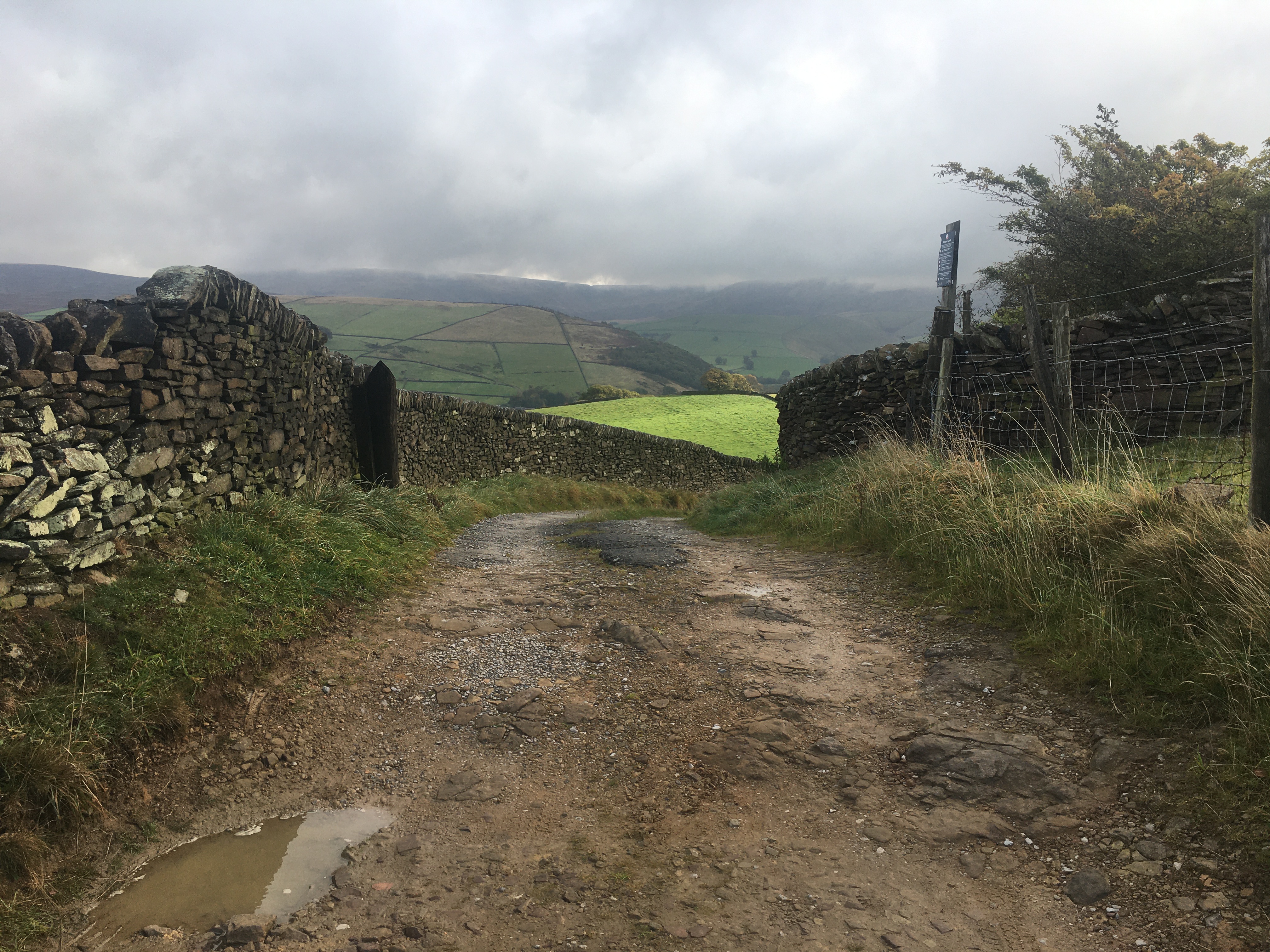 New Mills Boundary Walk 4 (Birch Vale)