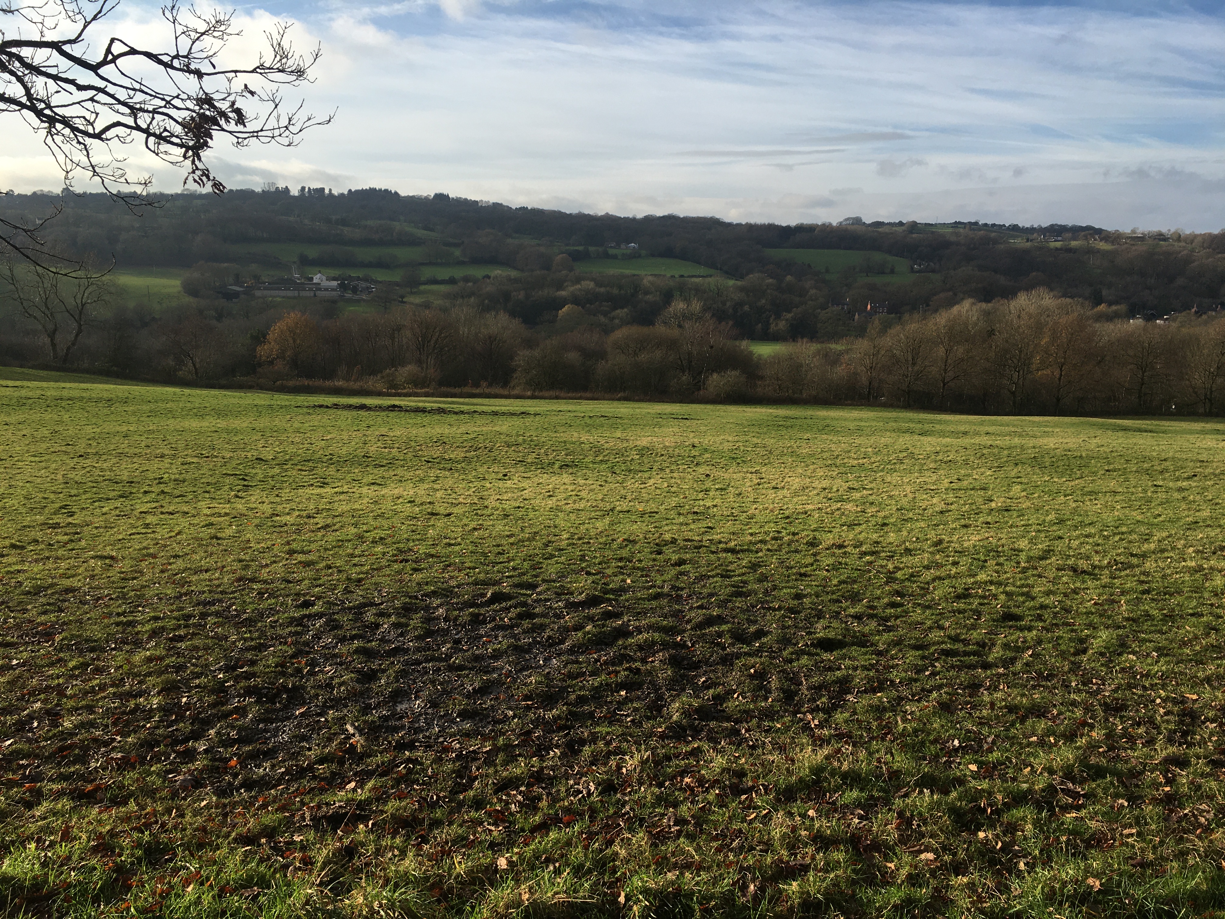 New Mills Boundary Walk 4 (Birch Vale)