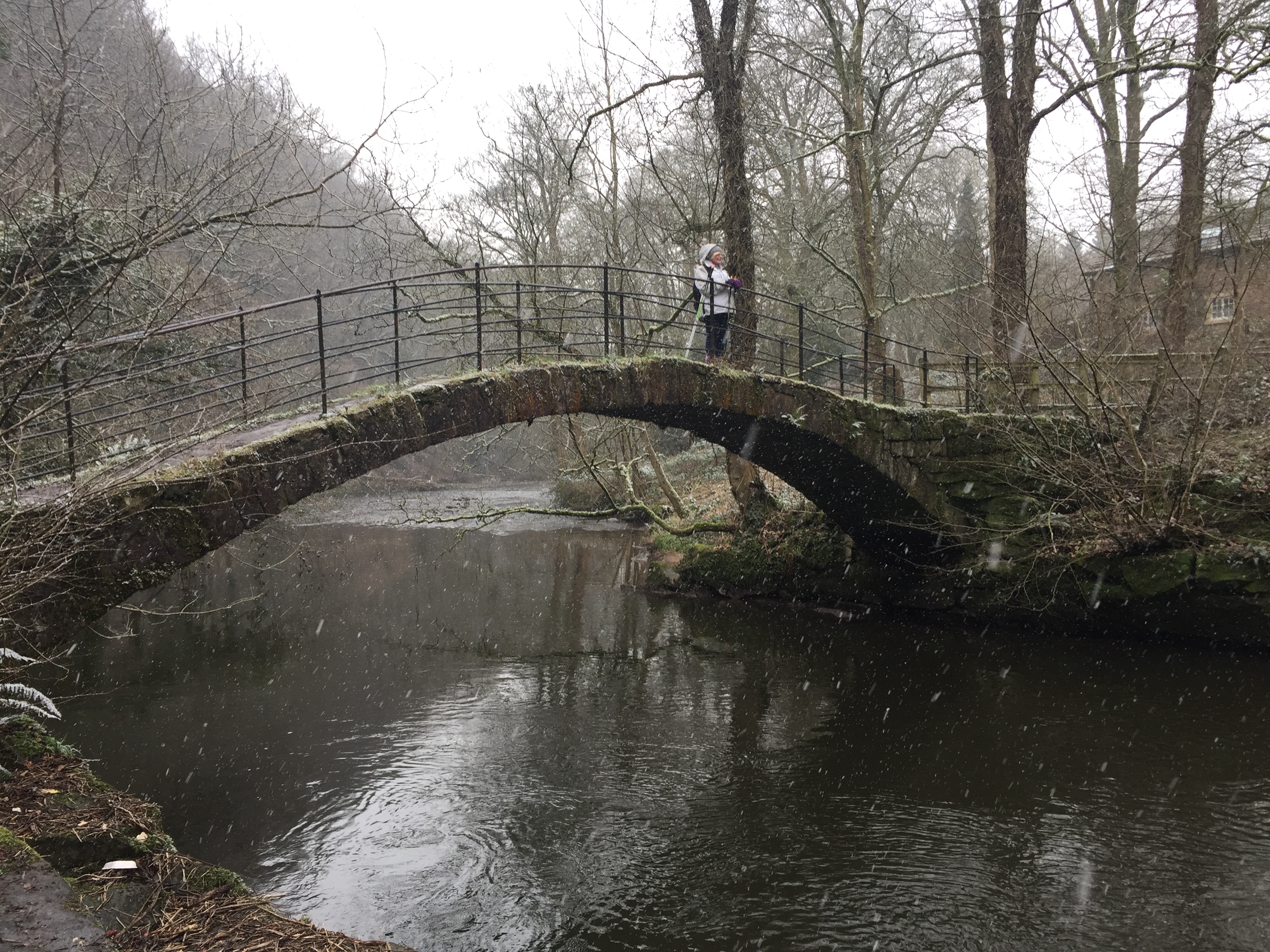 Woodbank Park Nordic Walk