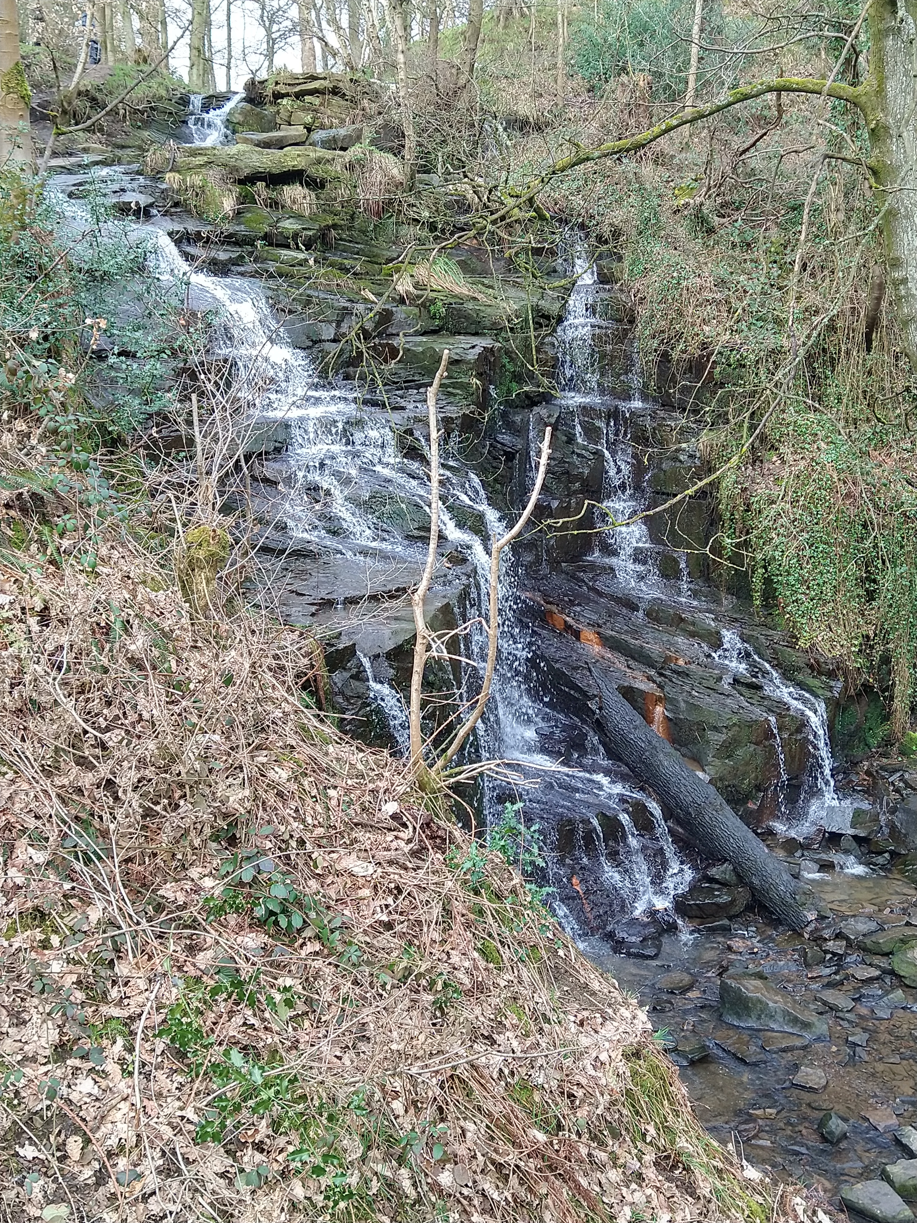 Longer Walk: Wharmton Circular