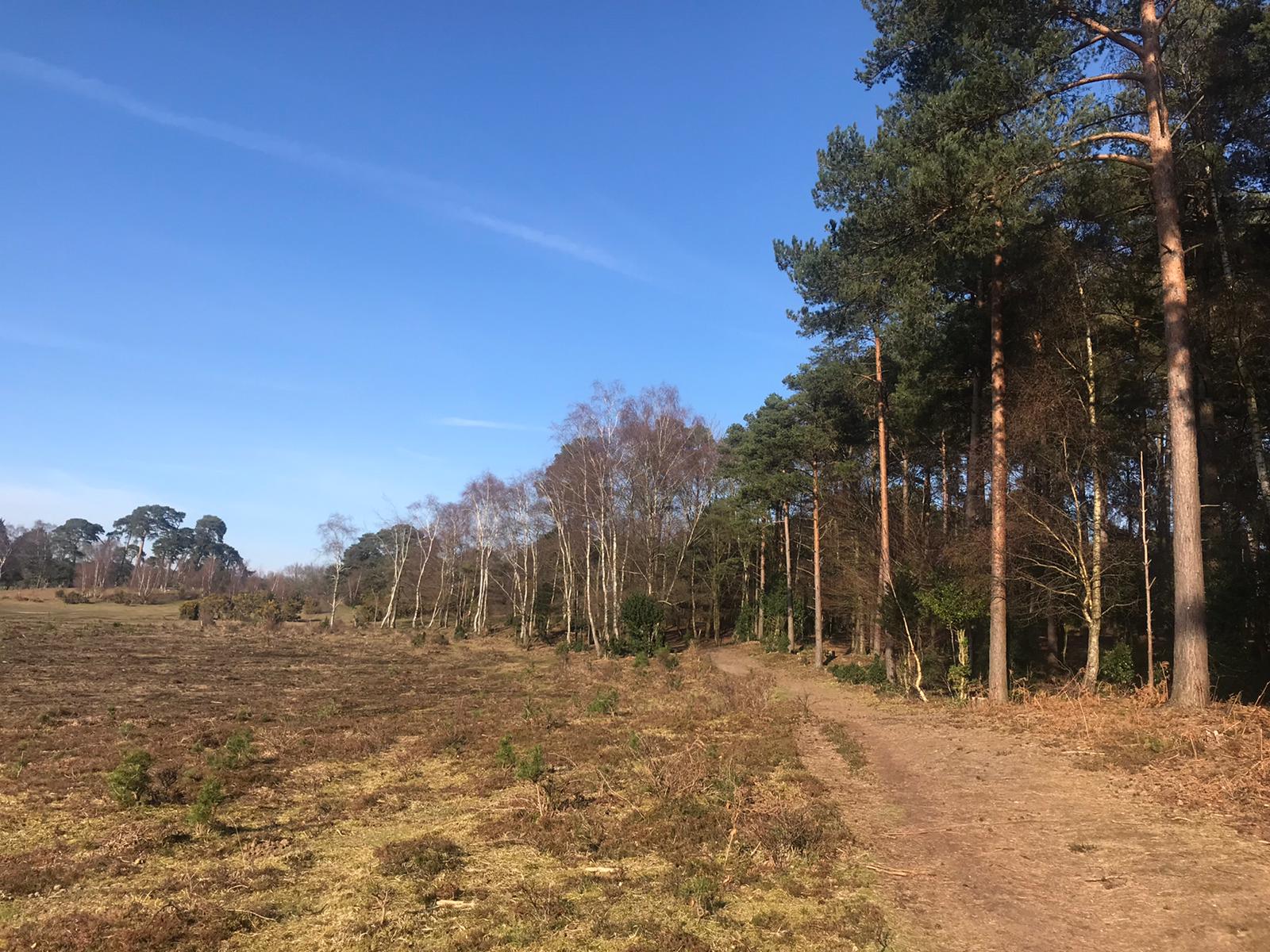 Deerleap Ridge Workout Walk