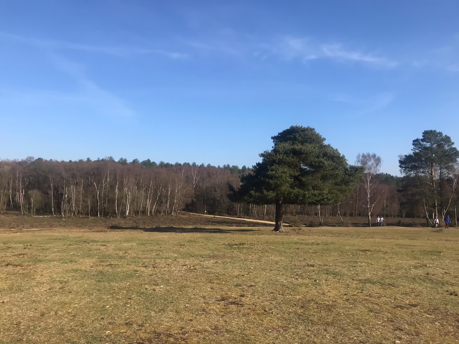 Deerleap Ridge Workout Walk