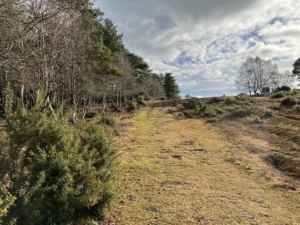 Dibden Bottom Loop All Levels Walk