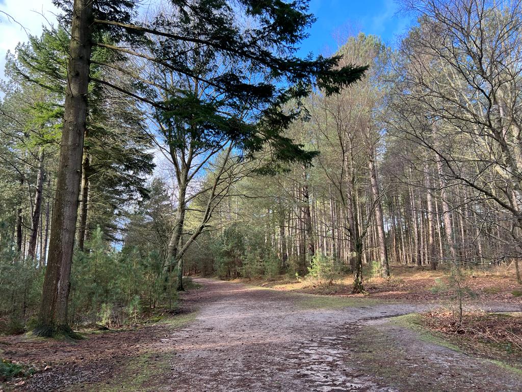 Dibden Bottom Loop All Levels Walk