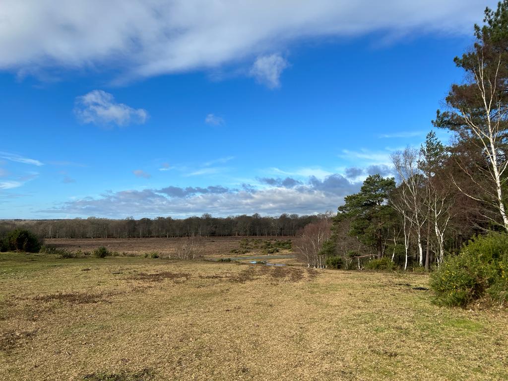 Dibden Bottom Loop All Levels Walk