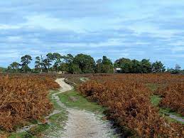 Denny Wood Workout Walk with Coffee