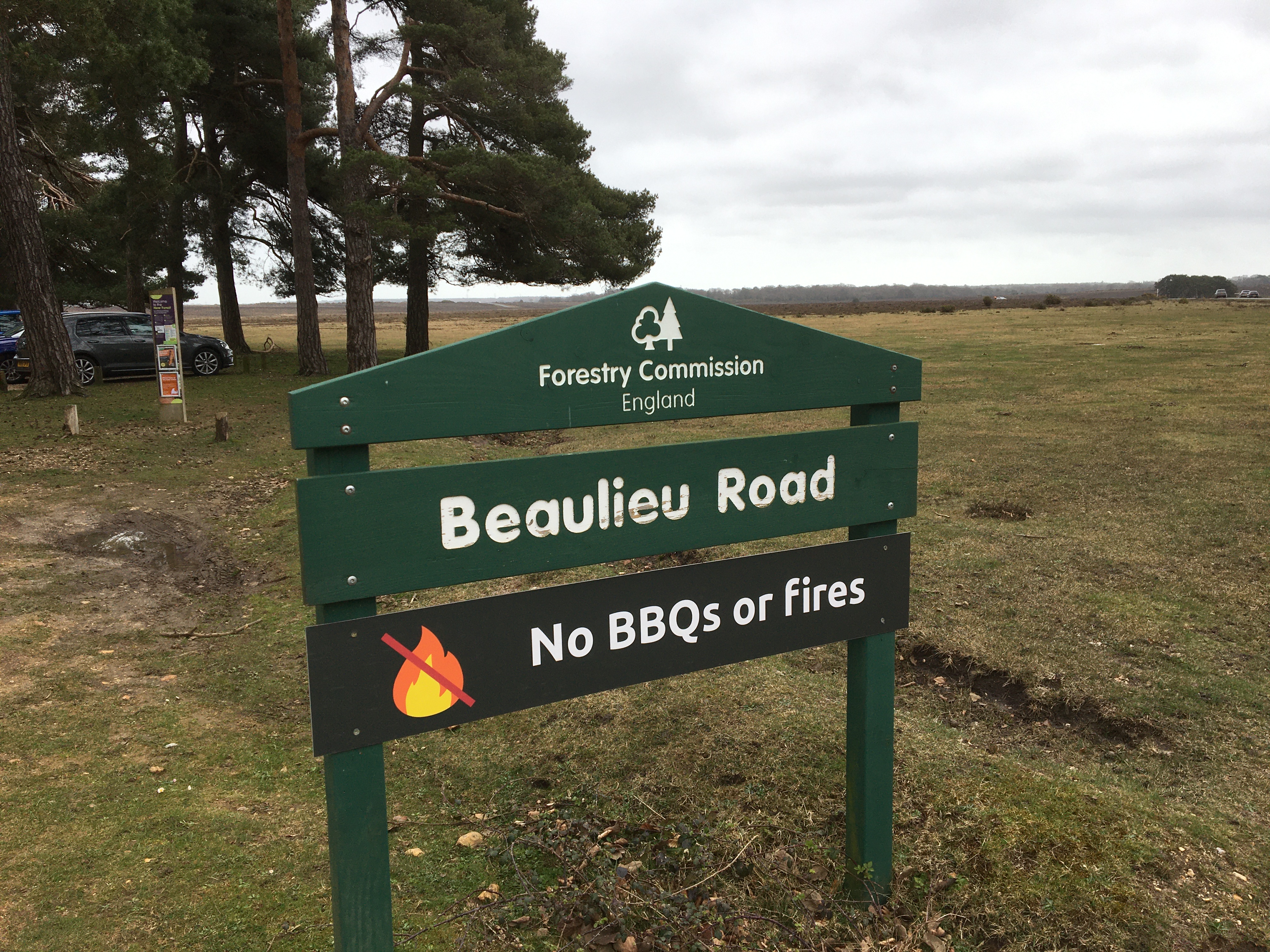 Denny Wood Workout Walk with Coffee