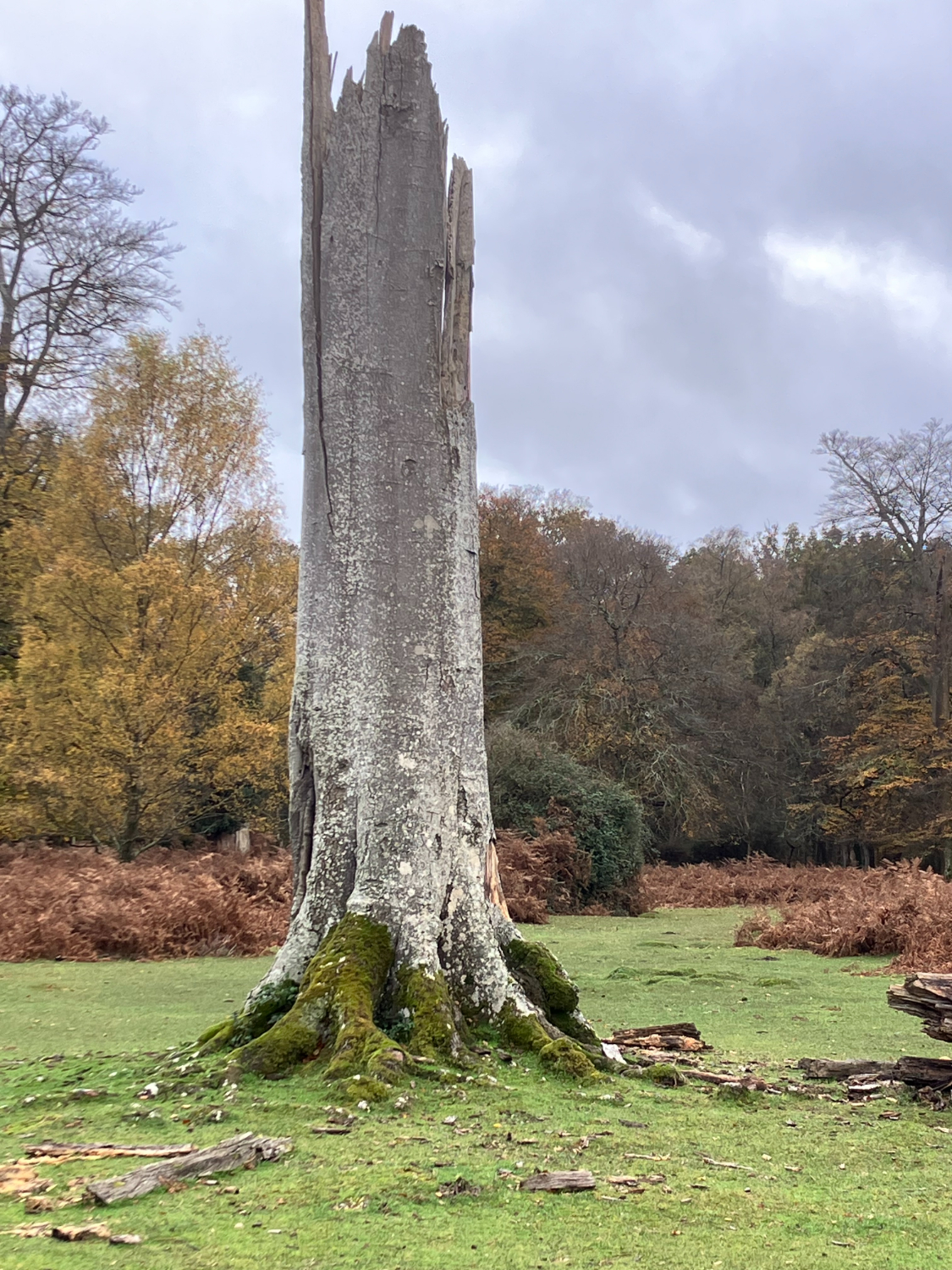 Denny Wood Workout Walk with Coffee