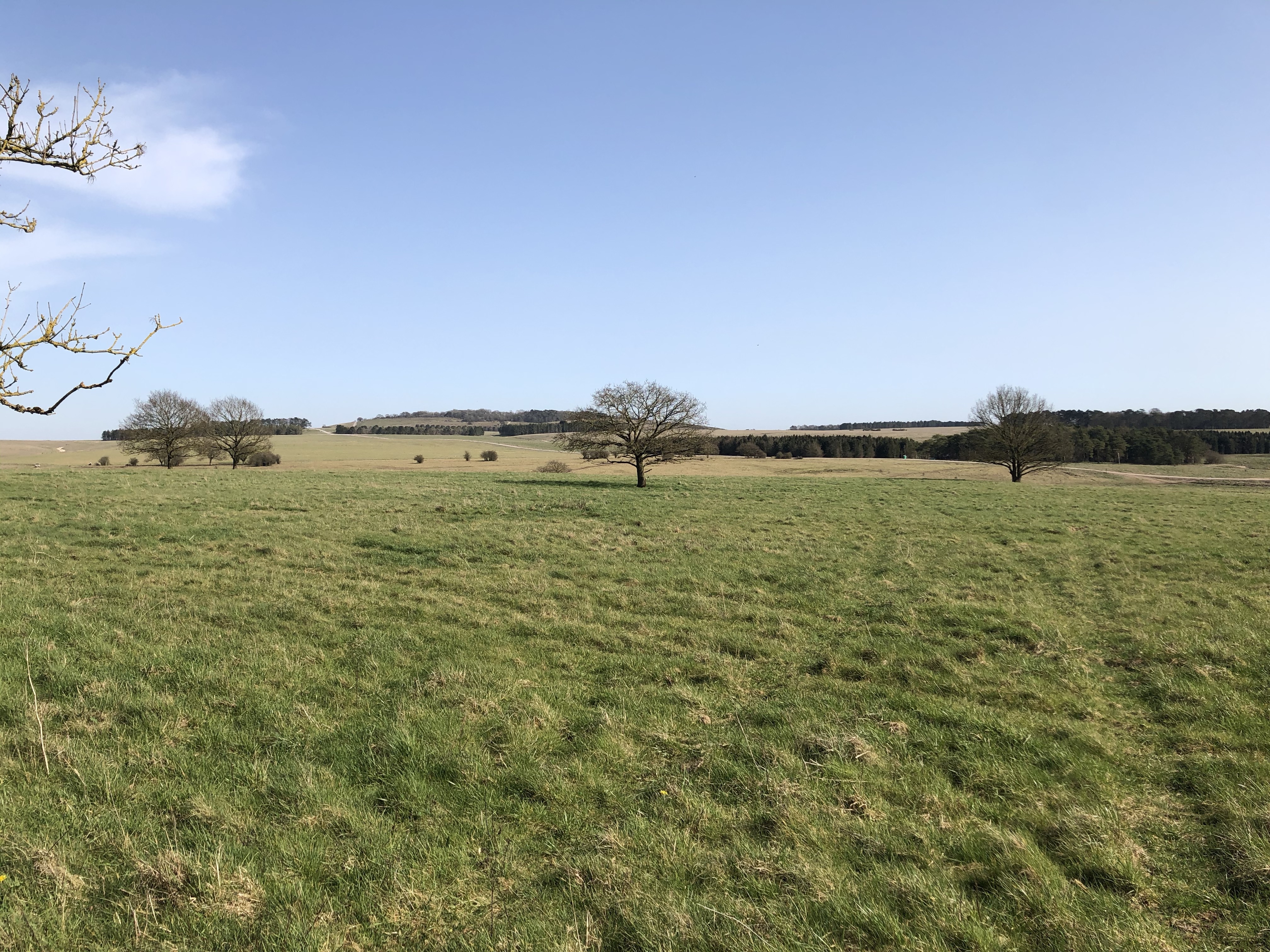 Gear 2 walk - Salisbury Plain