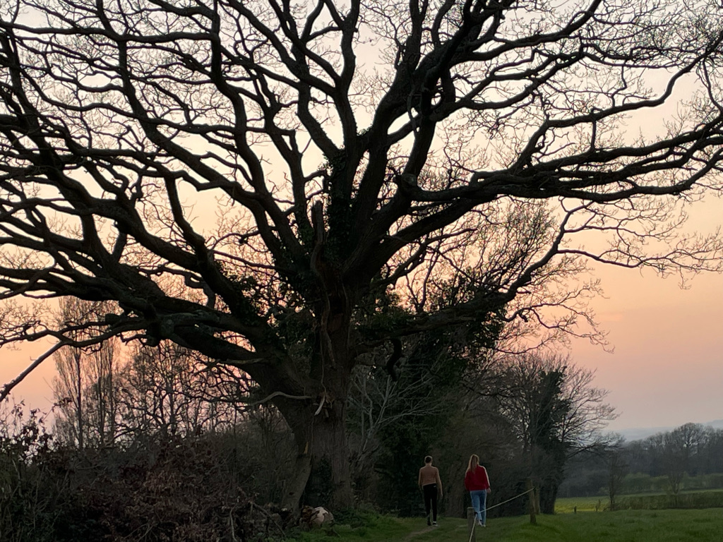 Power of the Poles Introduction to Nordic Walking