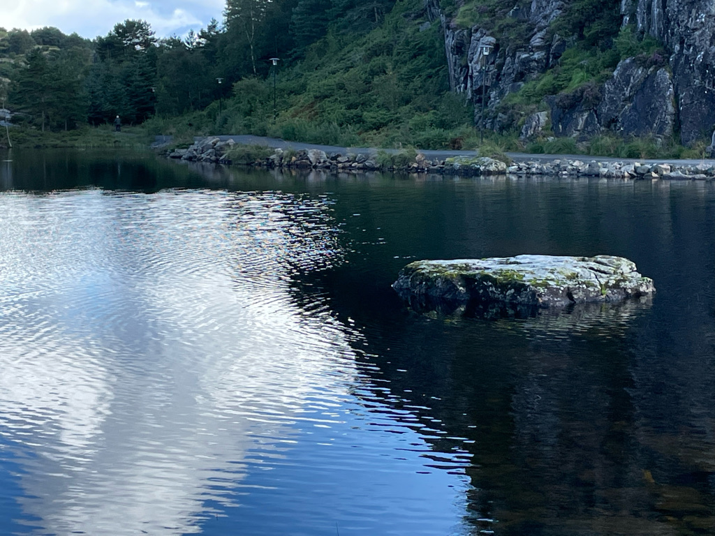 Power of the Poles Introduction to Nordic Walking