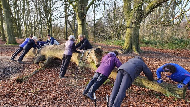 Invigorating Walk, Strength & Balance