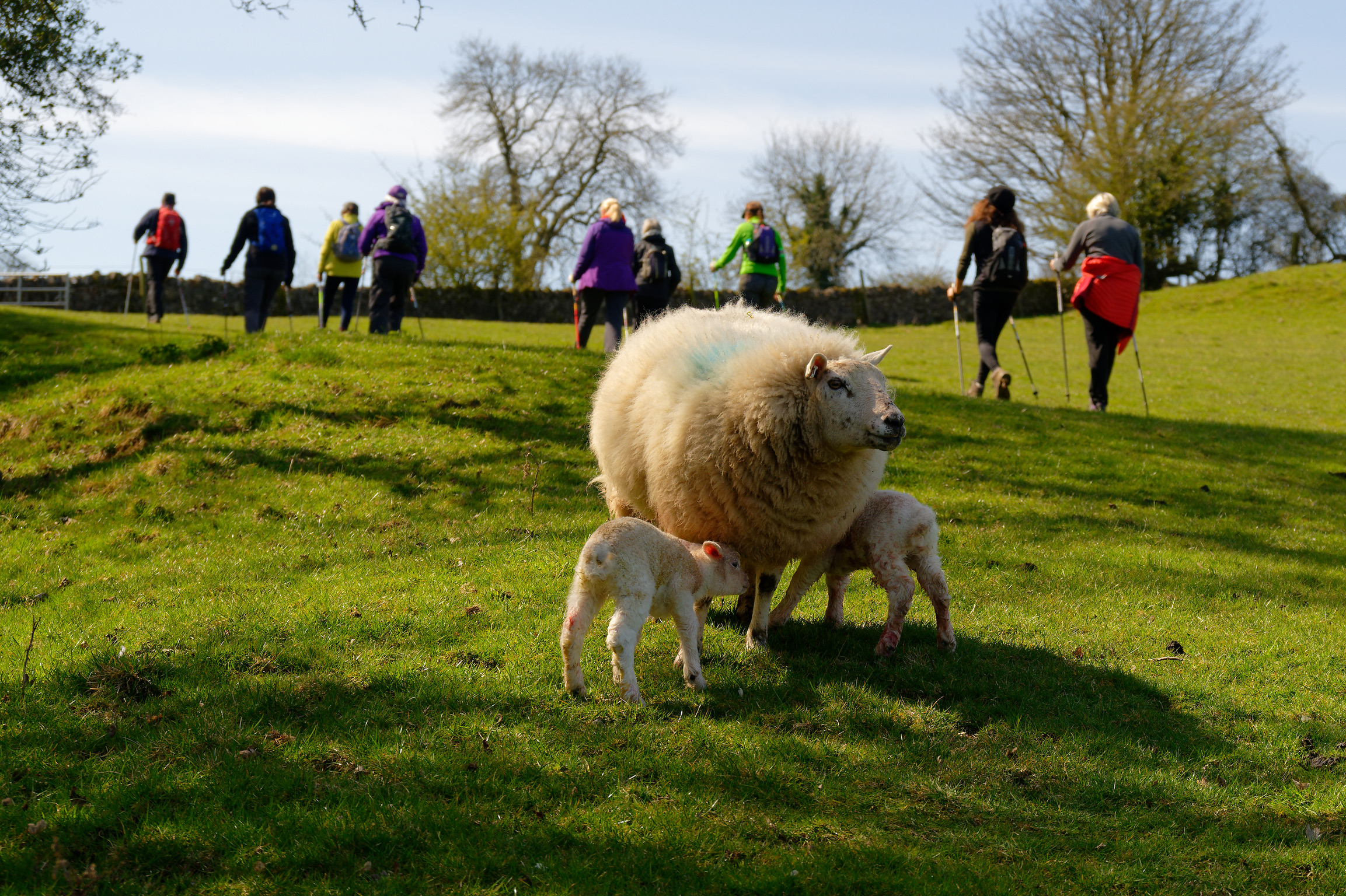 August Explorer Four Hour Walk - Weavers and Wootton