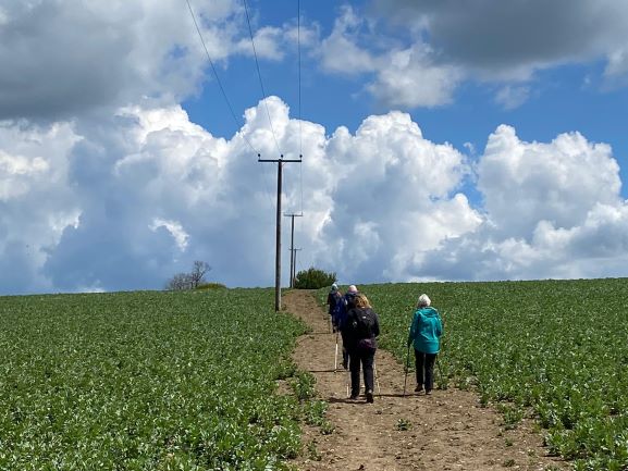 Explorer Walk to Windsor Great Park