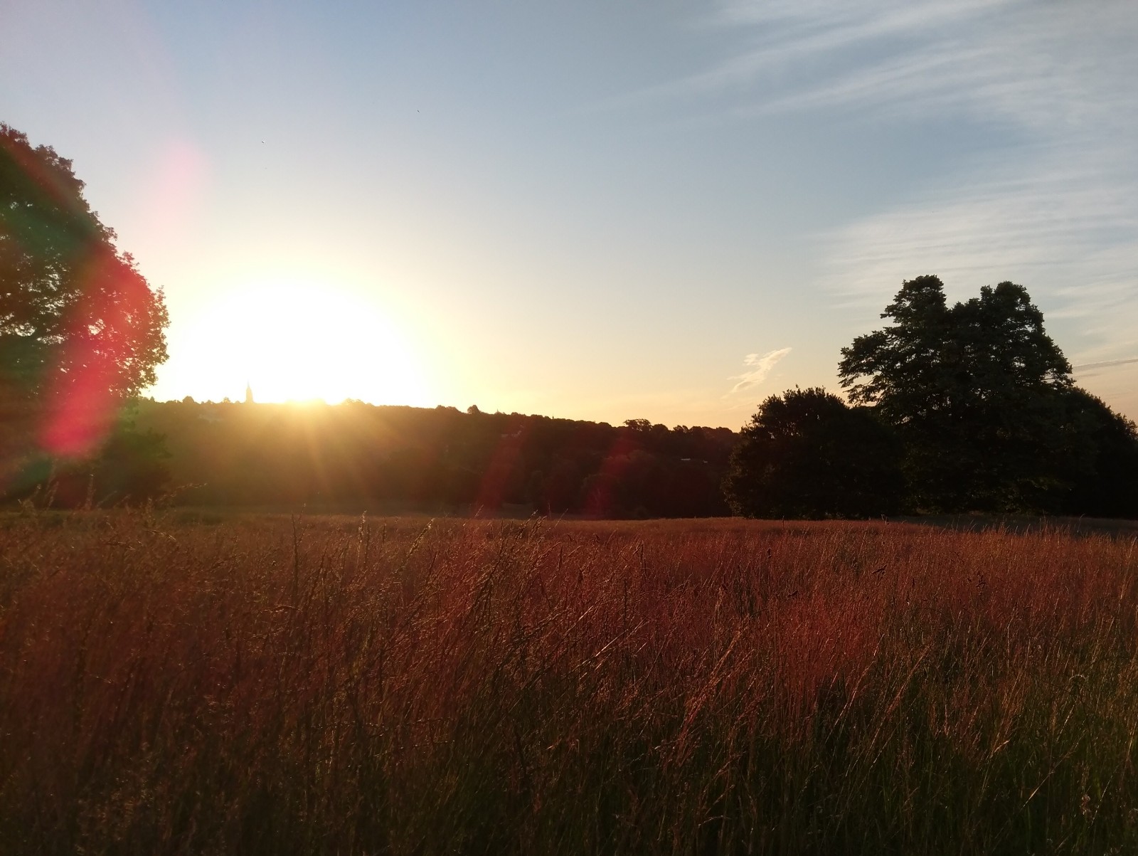 Explorer Walk to Windsor Great Park