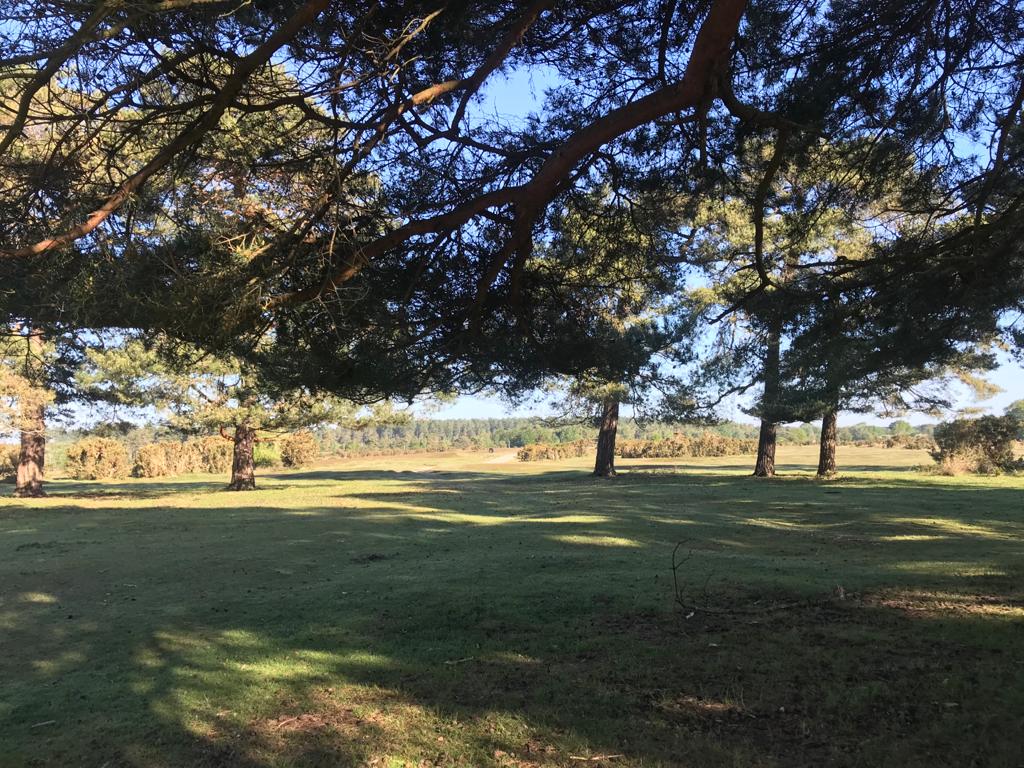 Longdown Trail Adventure Walk